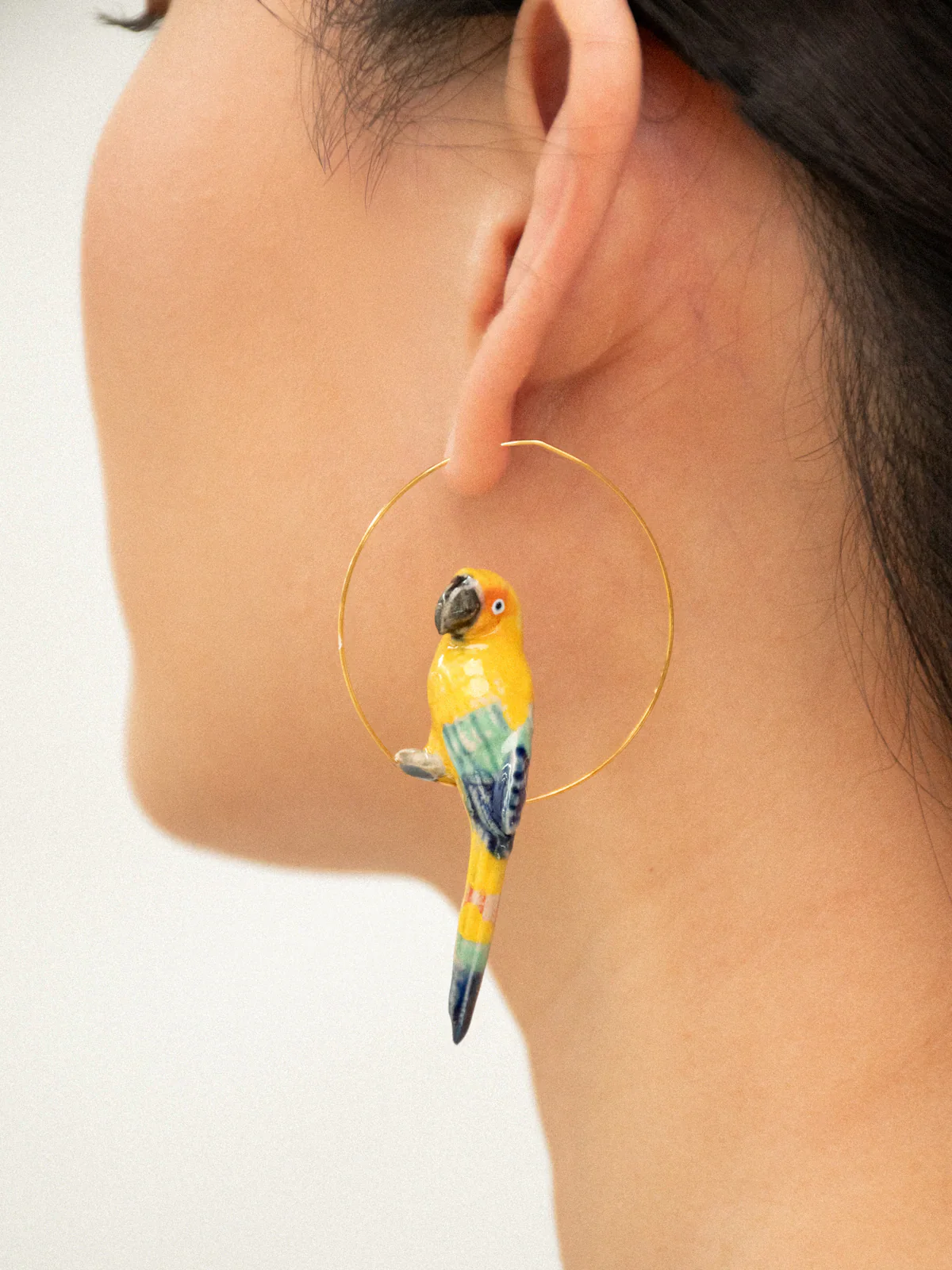 Grandes créoles oiseau conure soleil - Image 2
