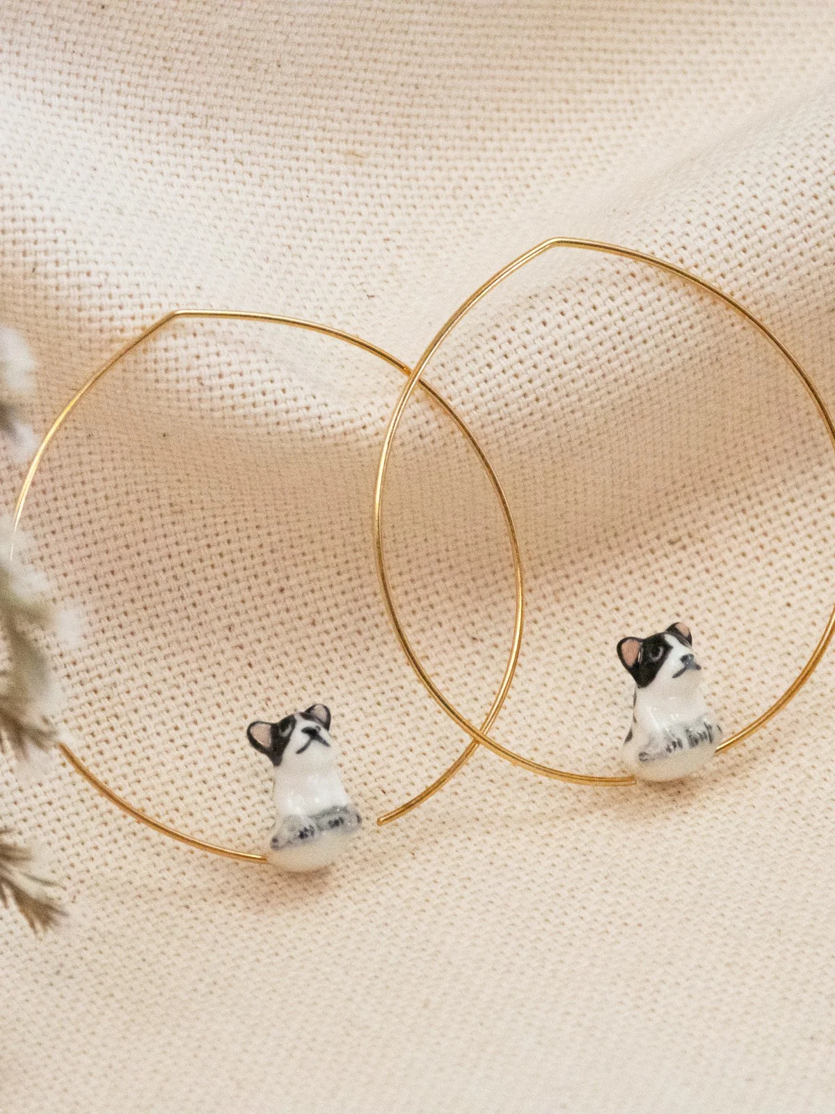 Moyennes créoles bouledogue français - Image 3