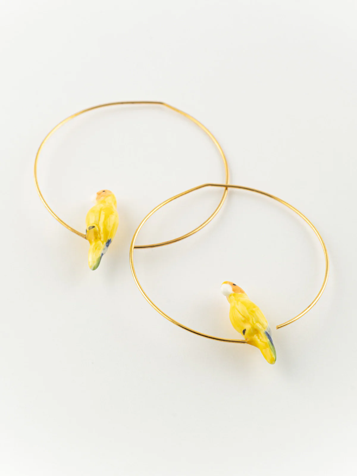 Moyennes créoles perroquet jaune - Image 3