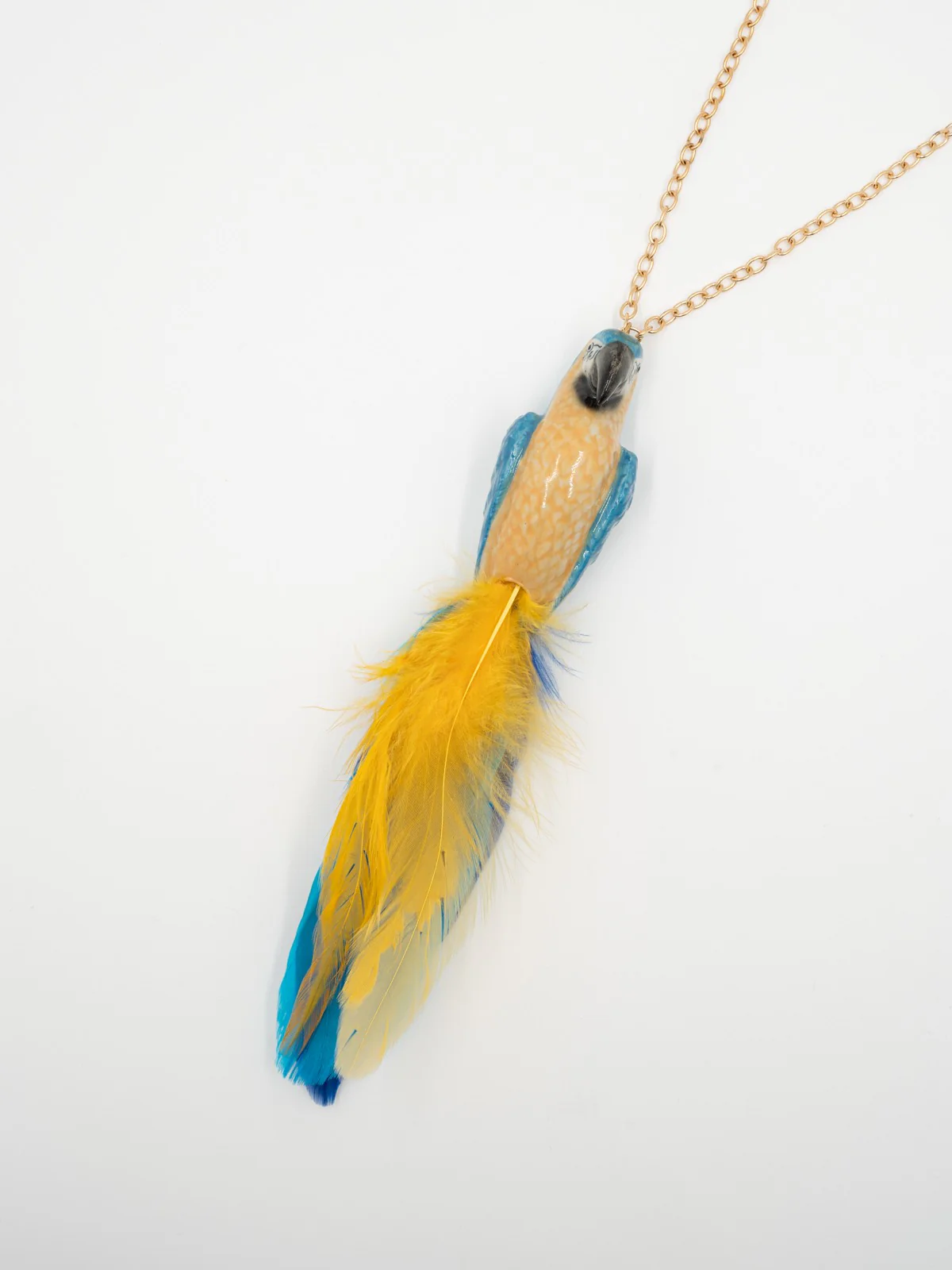 Collier perroquet bleu