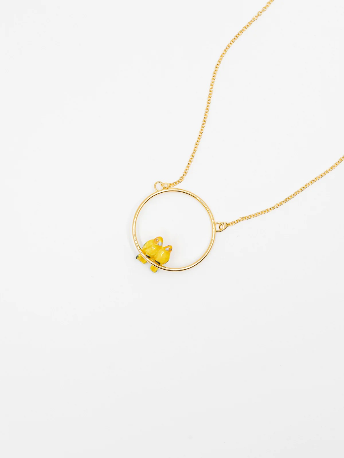 Collier rond couple de perroquets