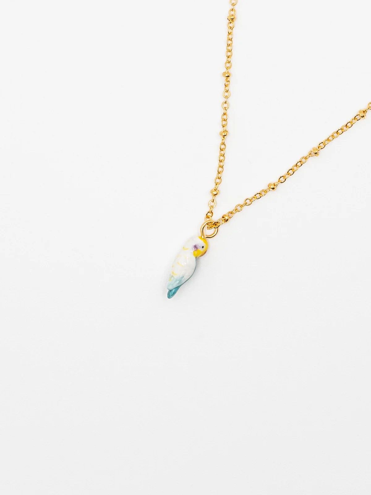 Collier perruche bleue