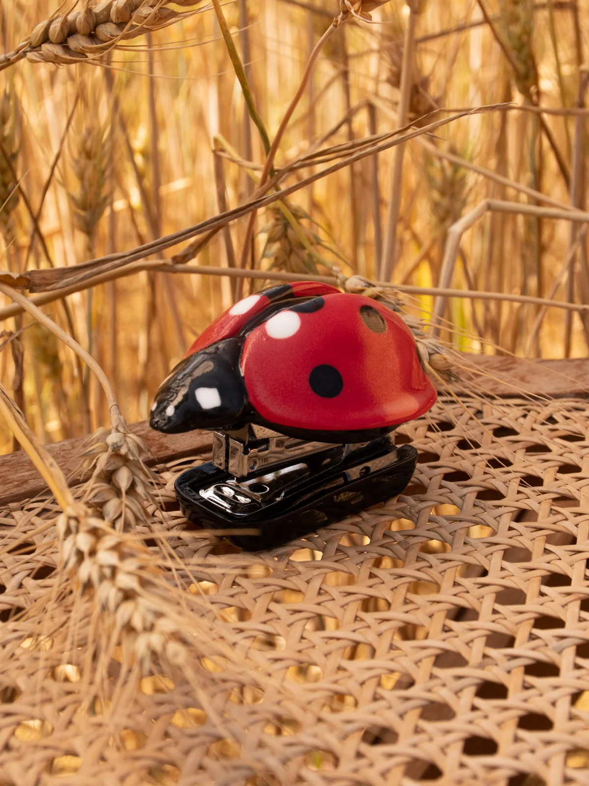 Agrafeuse coccinelle - Image 2