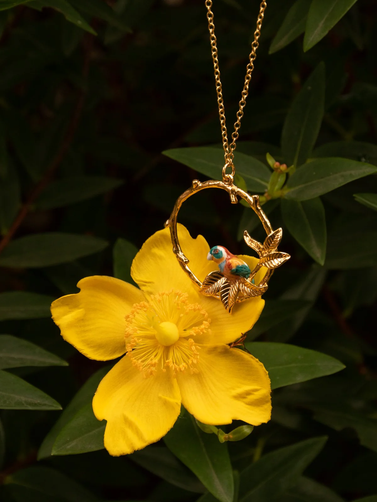 Collier guêpier sur branche ronde - Image 3
