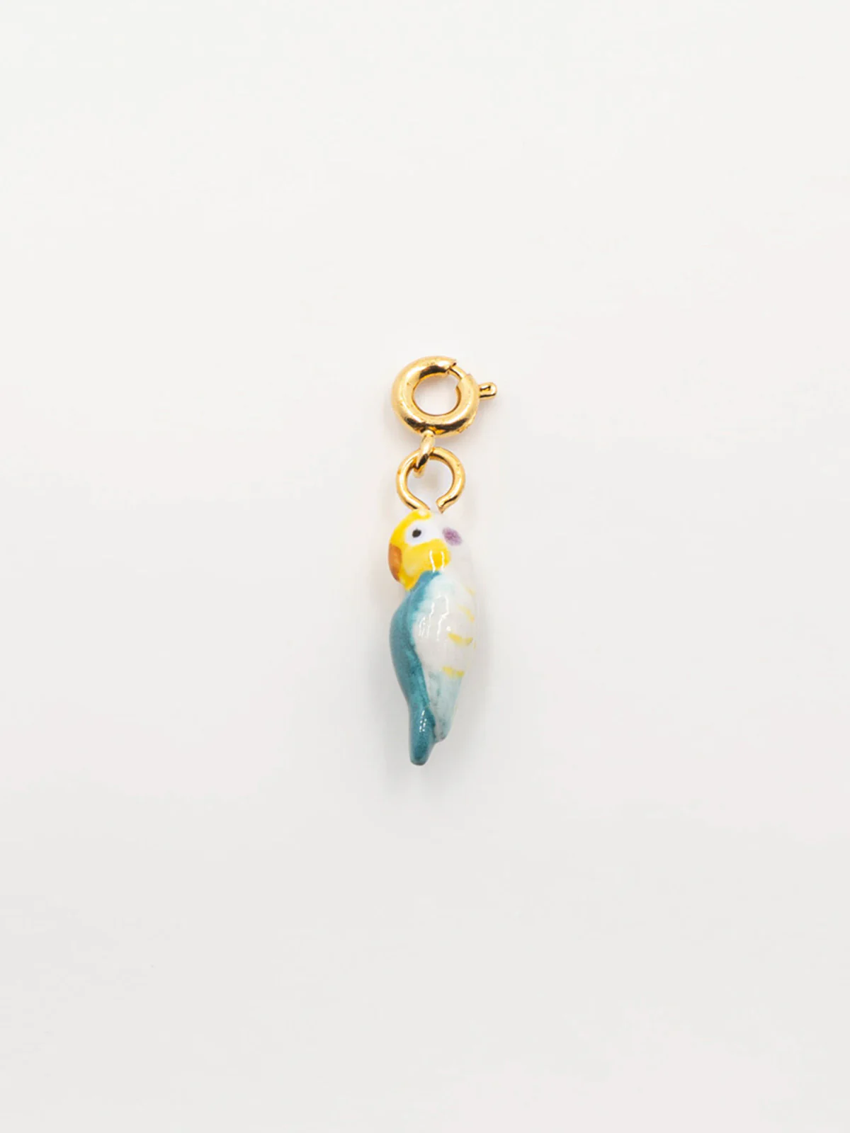 Charm's perroquet bleu