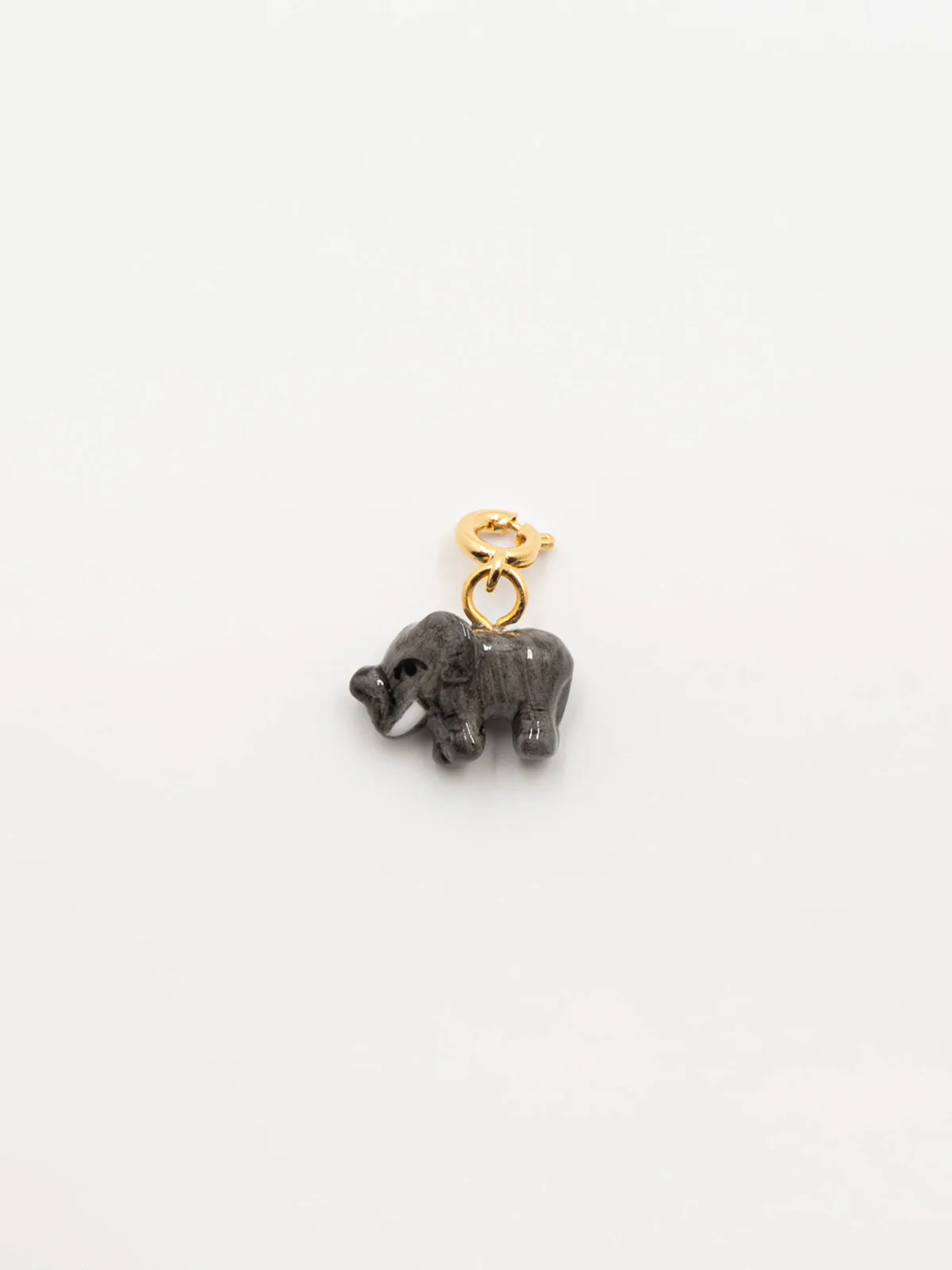 Charm's éléphant - Les Protégés