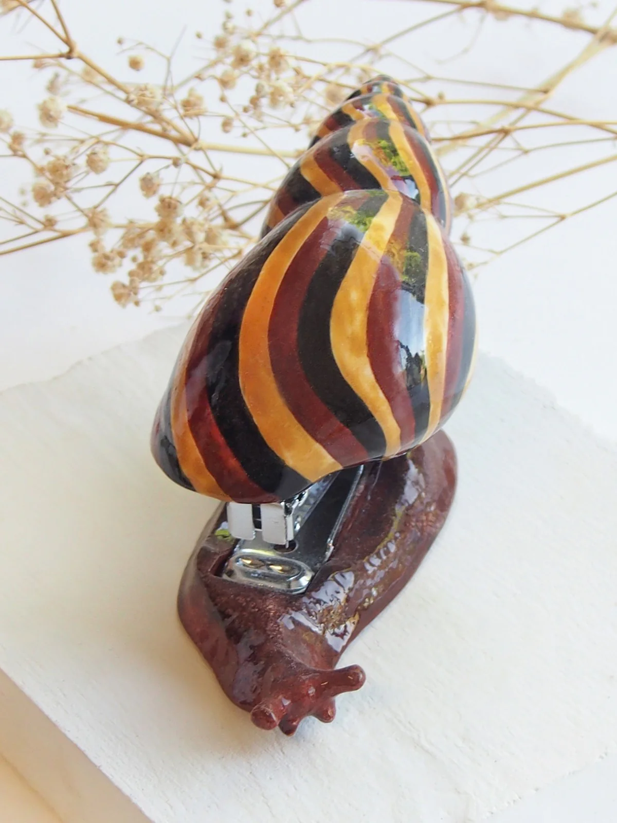 Agrafeuse escargot africain