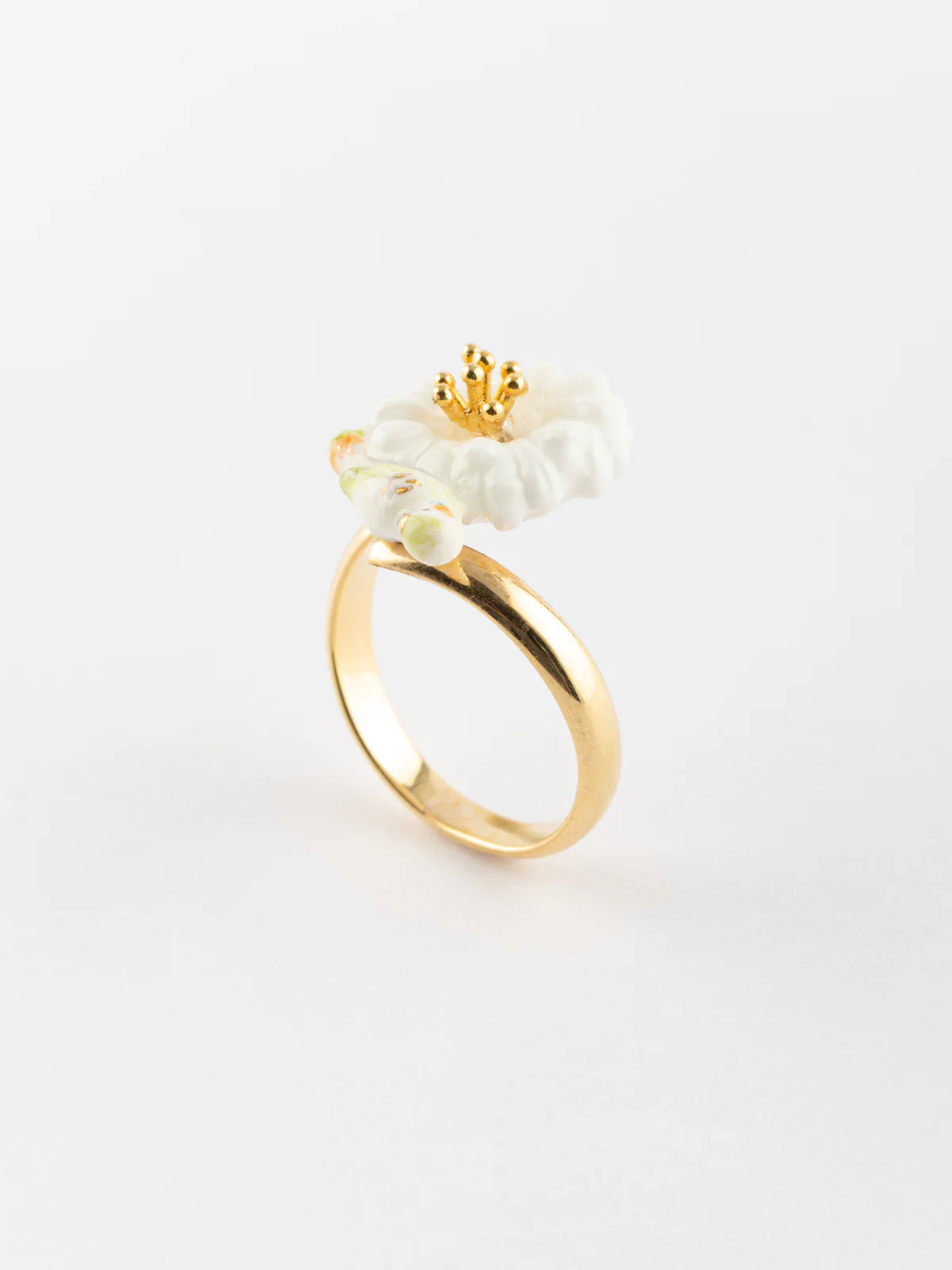 Bague perruche sur pissenlit blanc