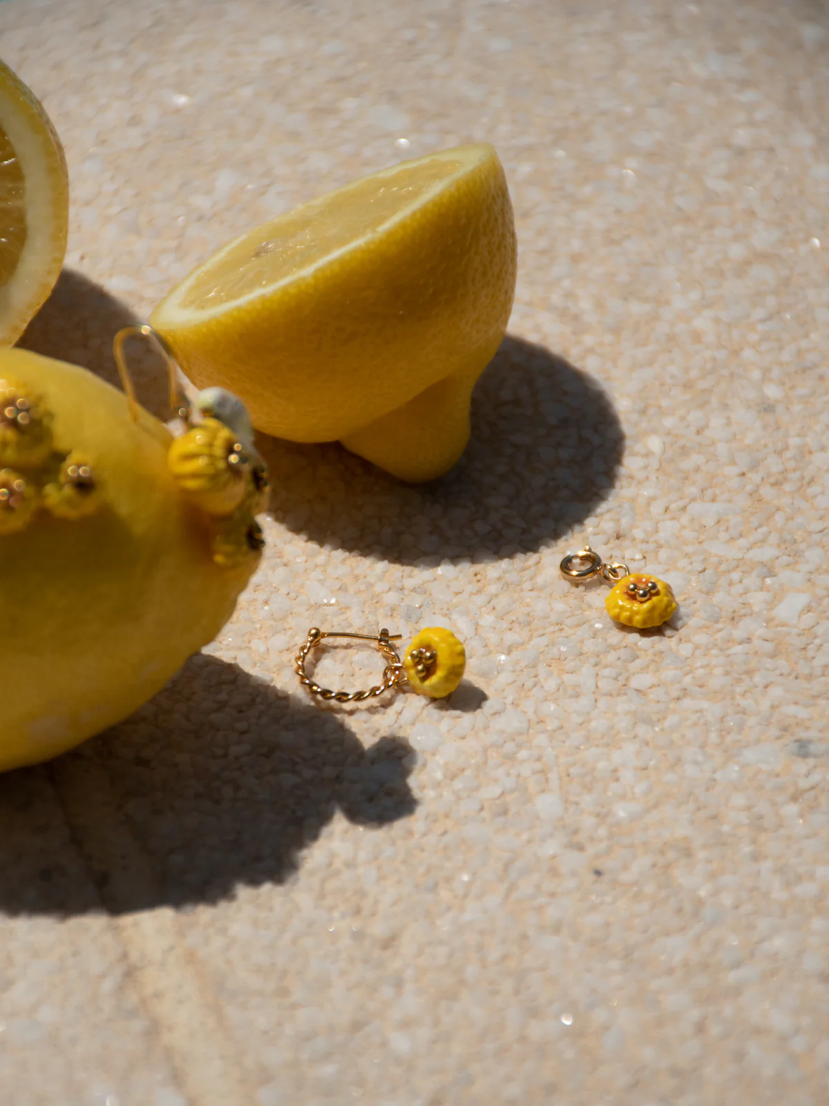Mini créole pissenlit jaune - Vendue à l'unité - Image 3