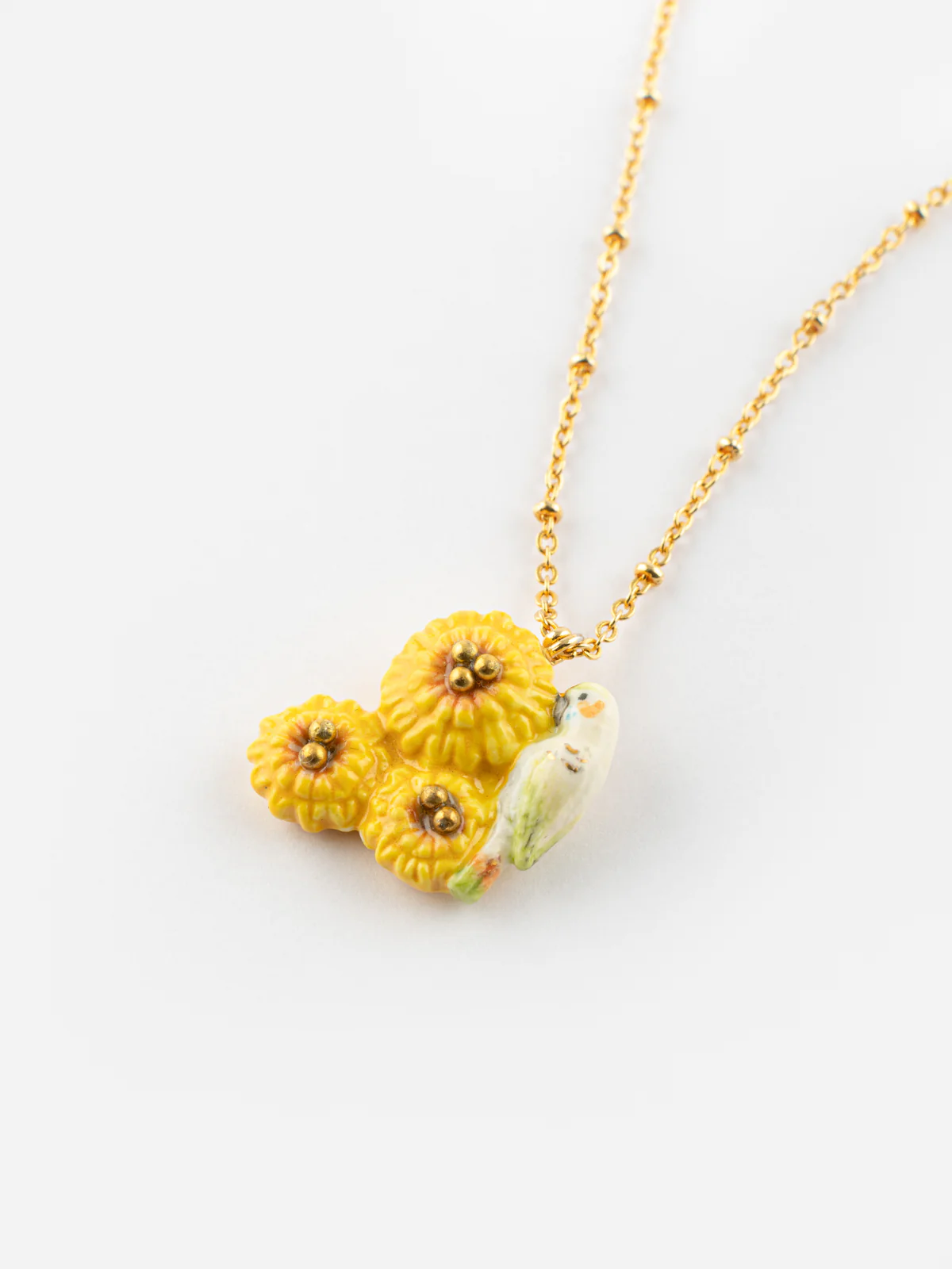 Collier perruche sur pissenlits jaunes