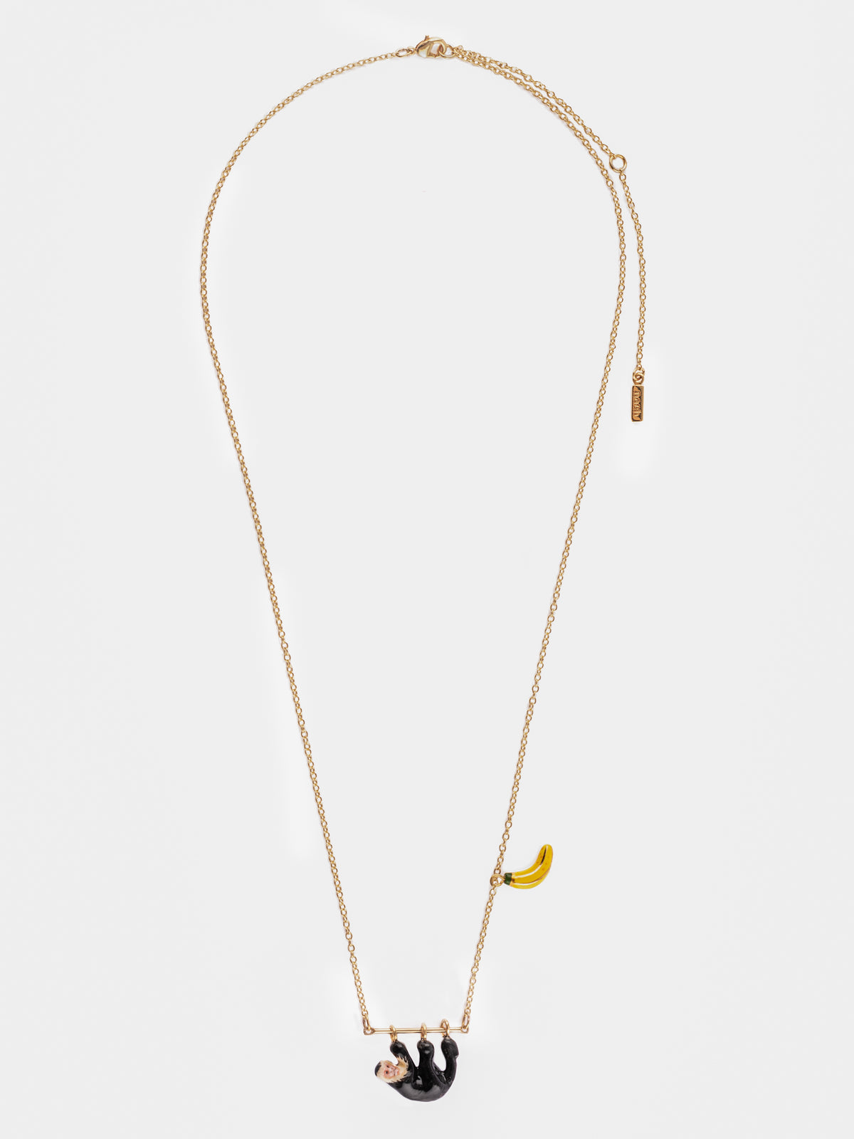 Collier capucin sur branche - Image 4