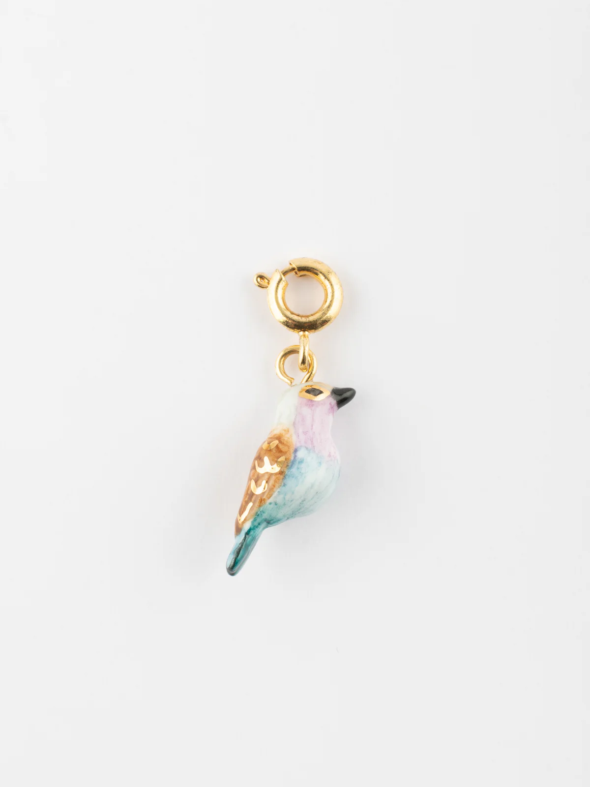 Charm's oiseau Rollier