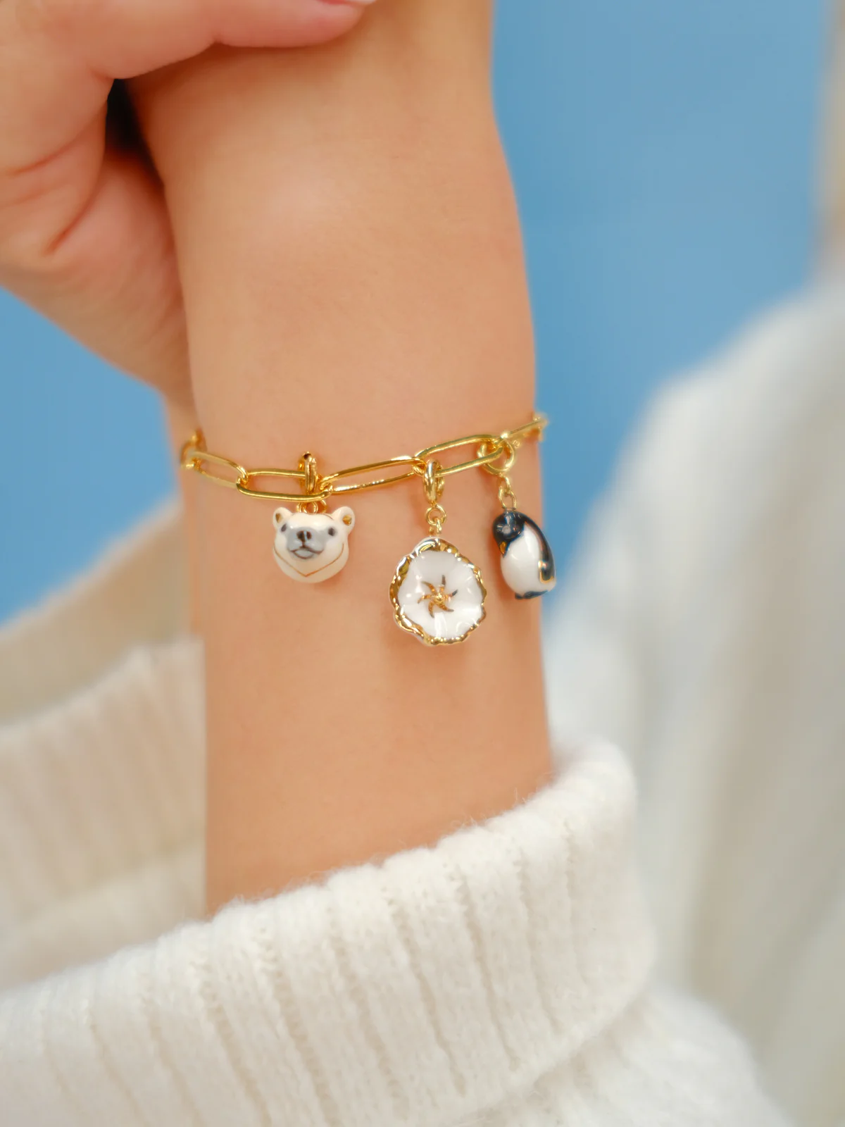 Charm's ours polaire - Arctique - Image 3