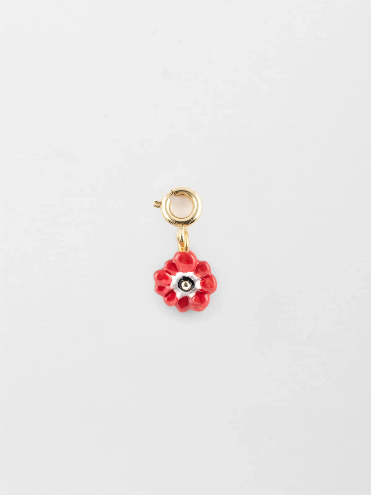 Charm's anémone rouge