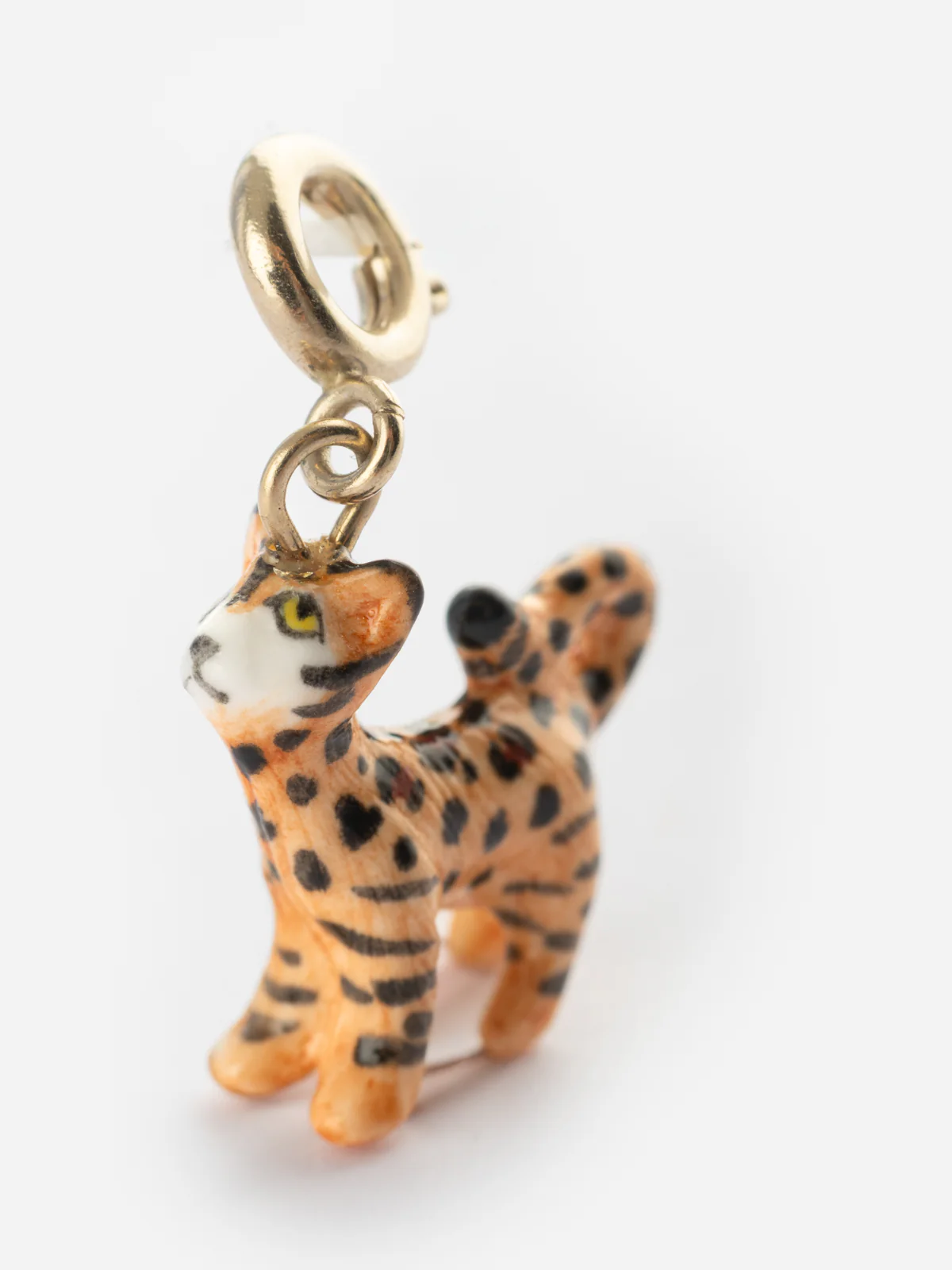 Charm's Chat Bengal