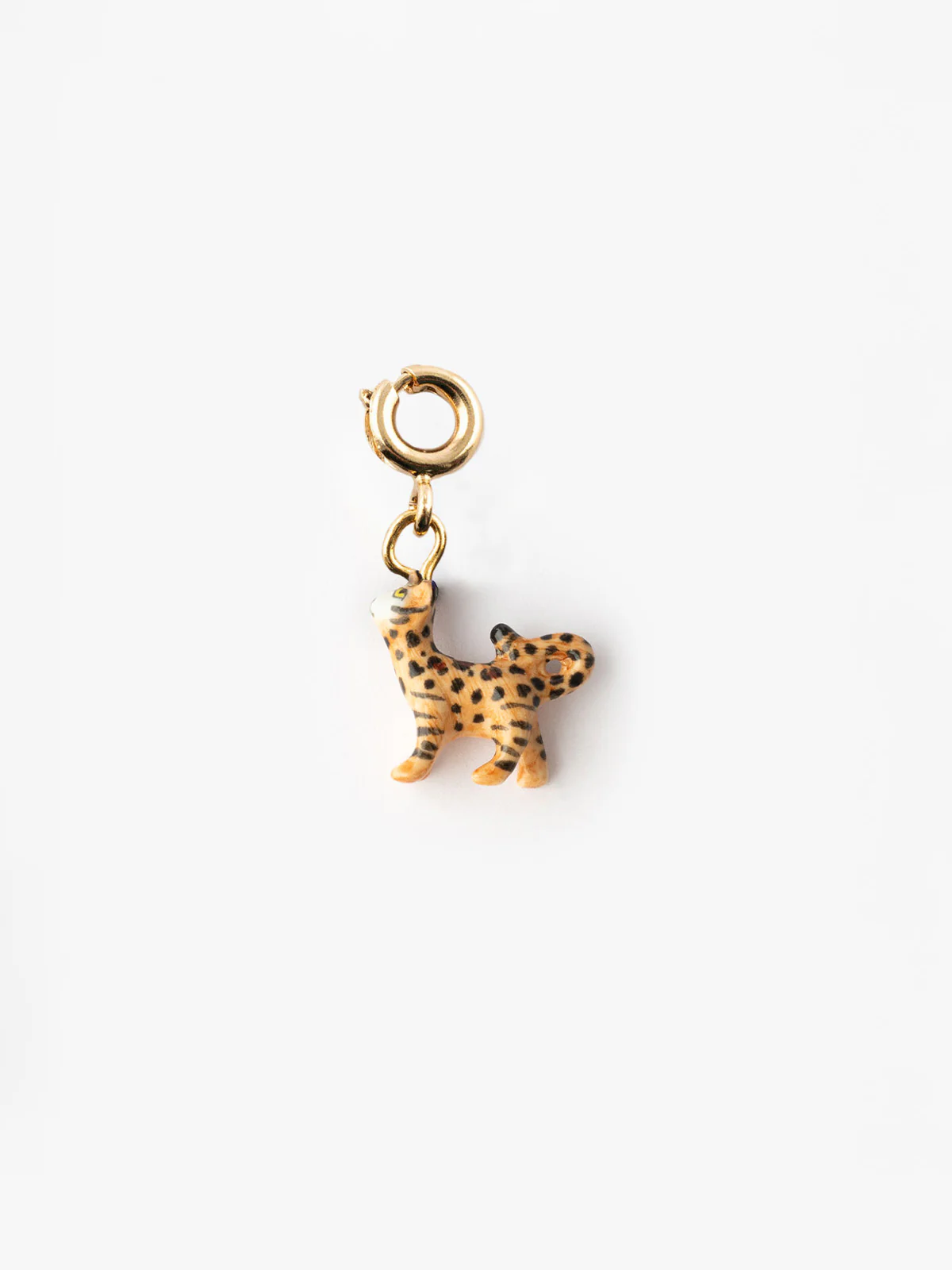 Charm's Chat Bengal - Image 4