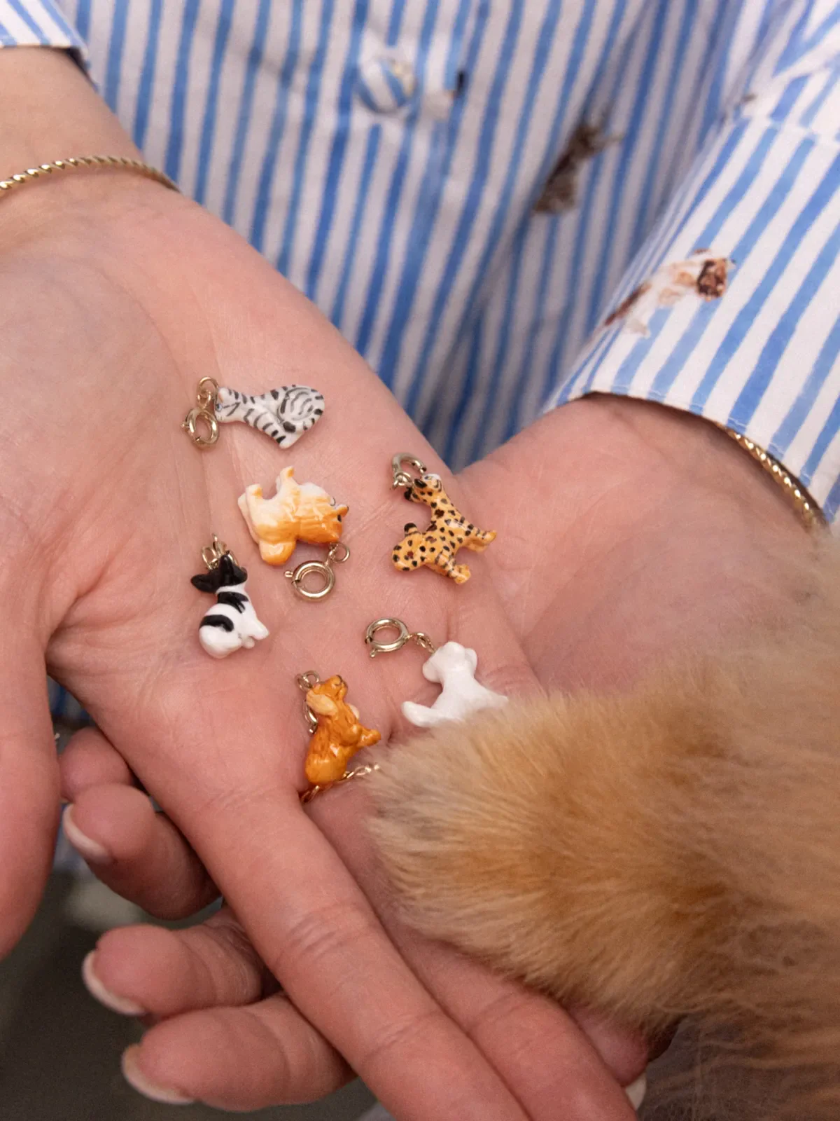 Charm's Chat Bengal - Image 5