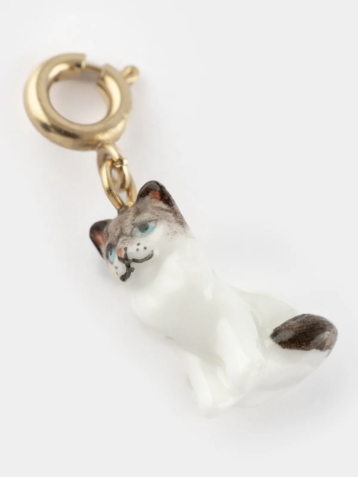 Charm's Chat Ragdoll