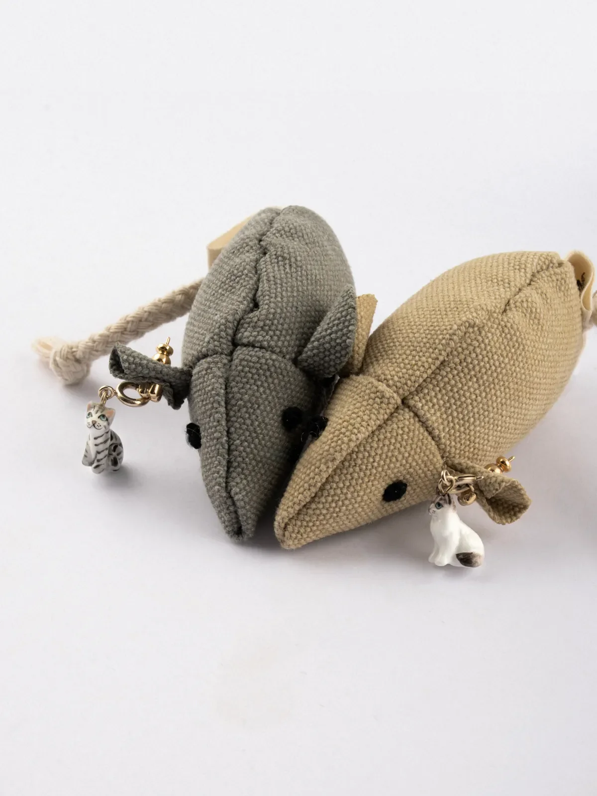 Charm's Chat Ragdoll - Image 6