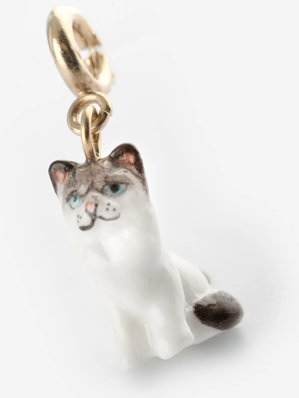 Charm's Chat Ragdoll - Image 8