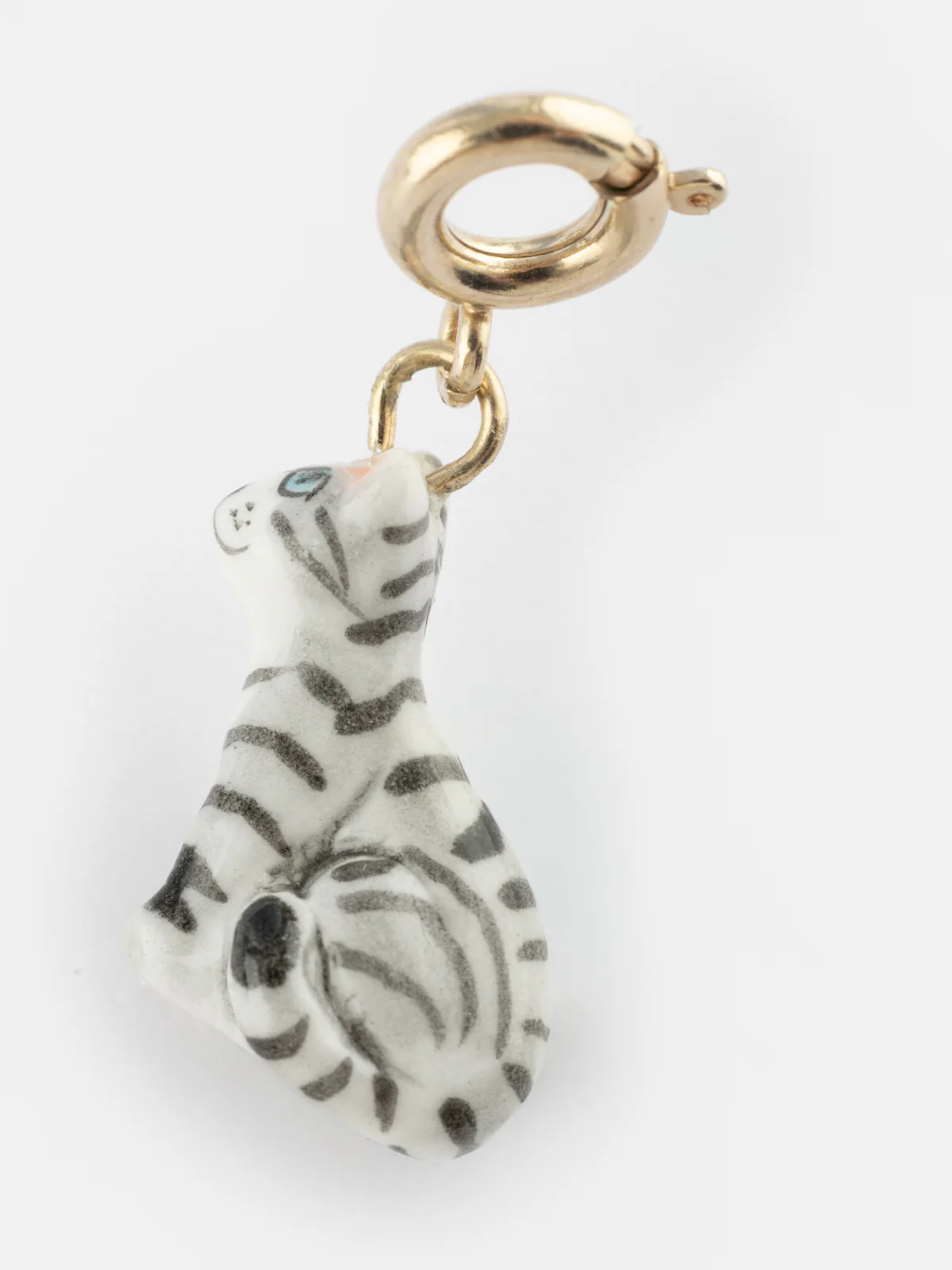 Charm's Chat tabby - Image 6