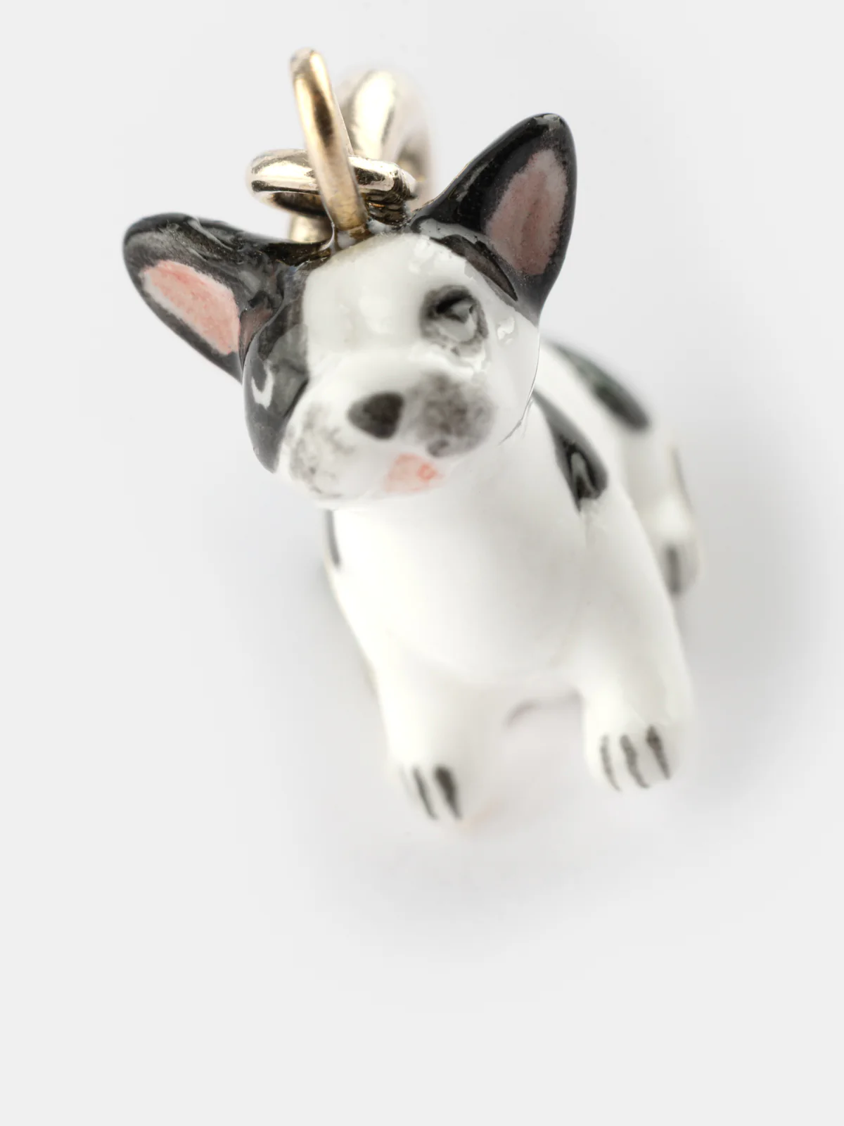 Charm's Chien Bulldog Français