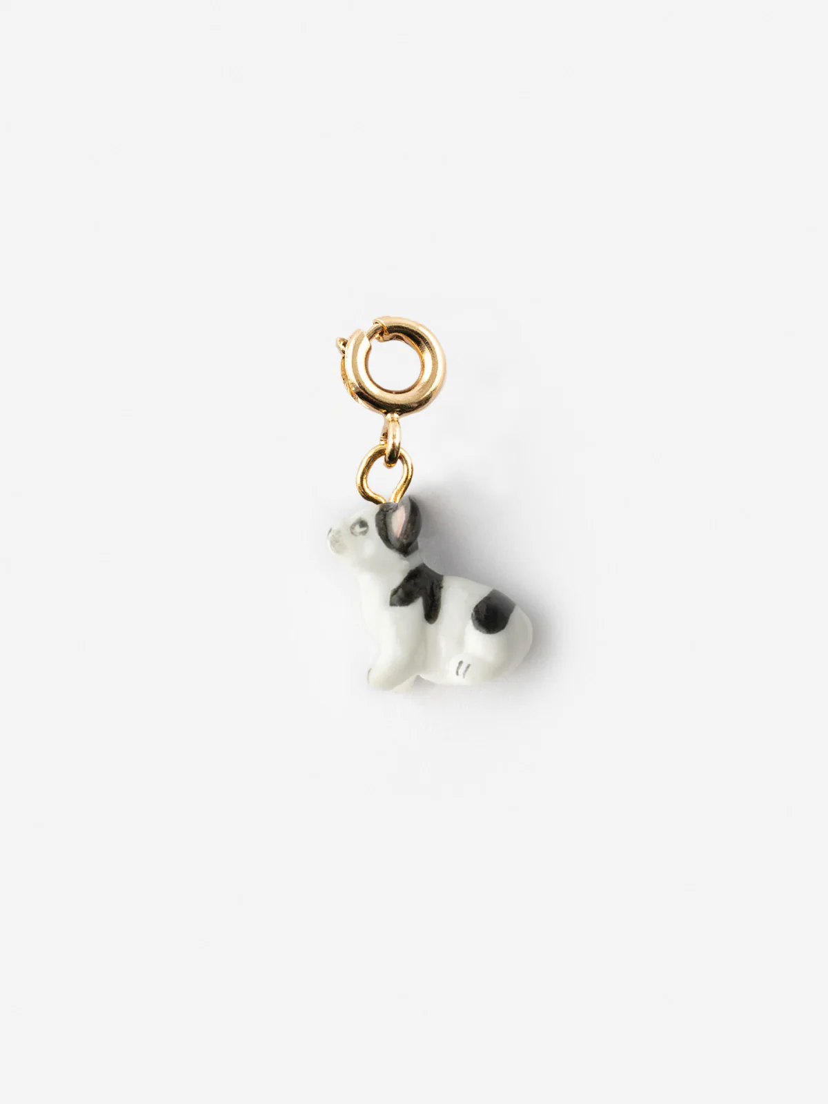Charm's Chien Bulldog Français - Image 10