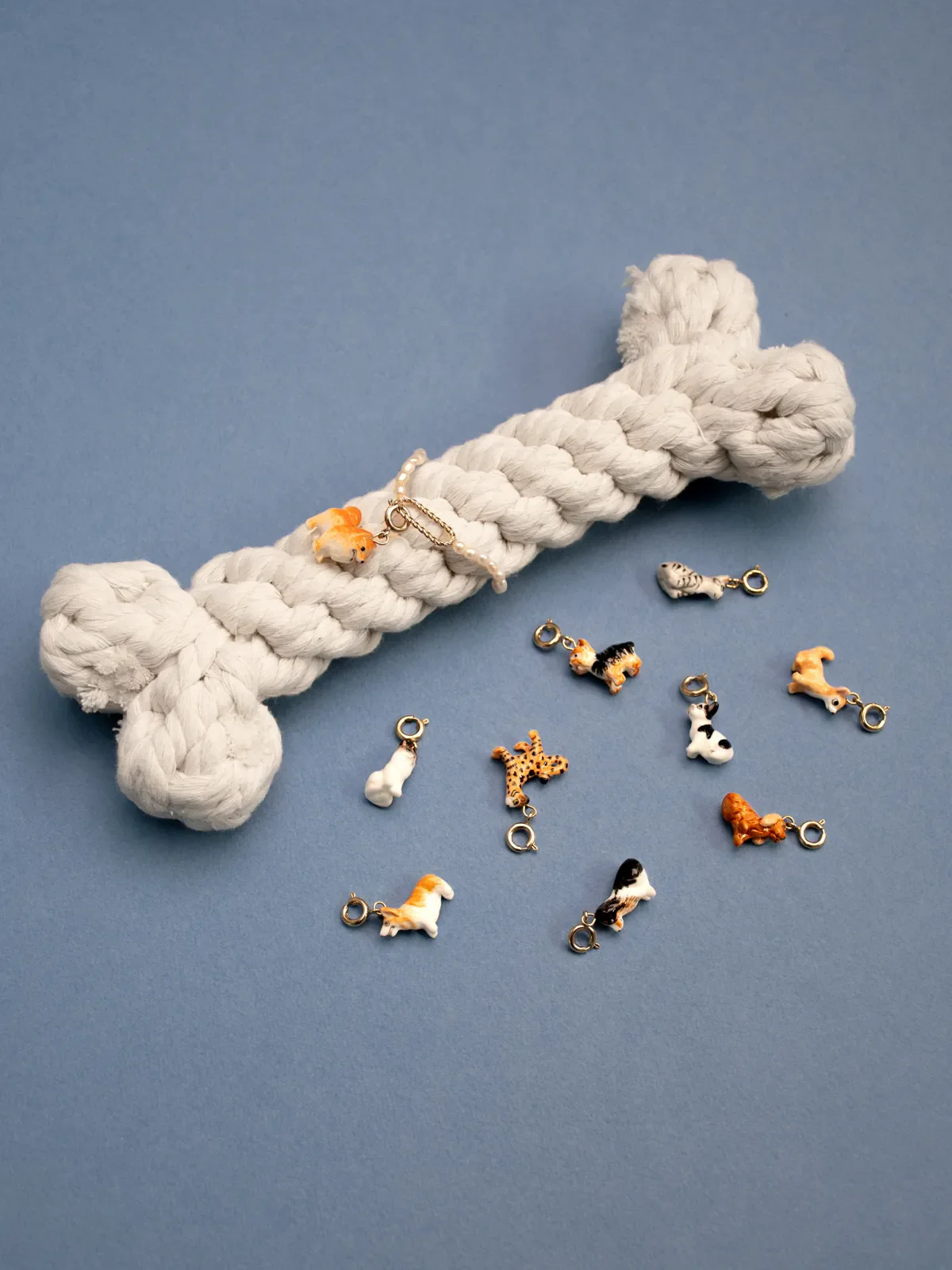 Charm's Chien Bulldog Français - Image 6