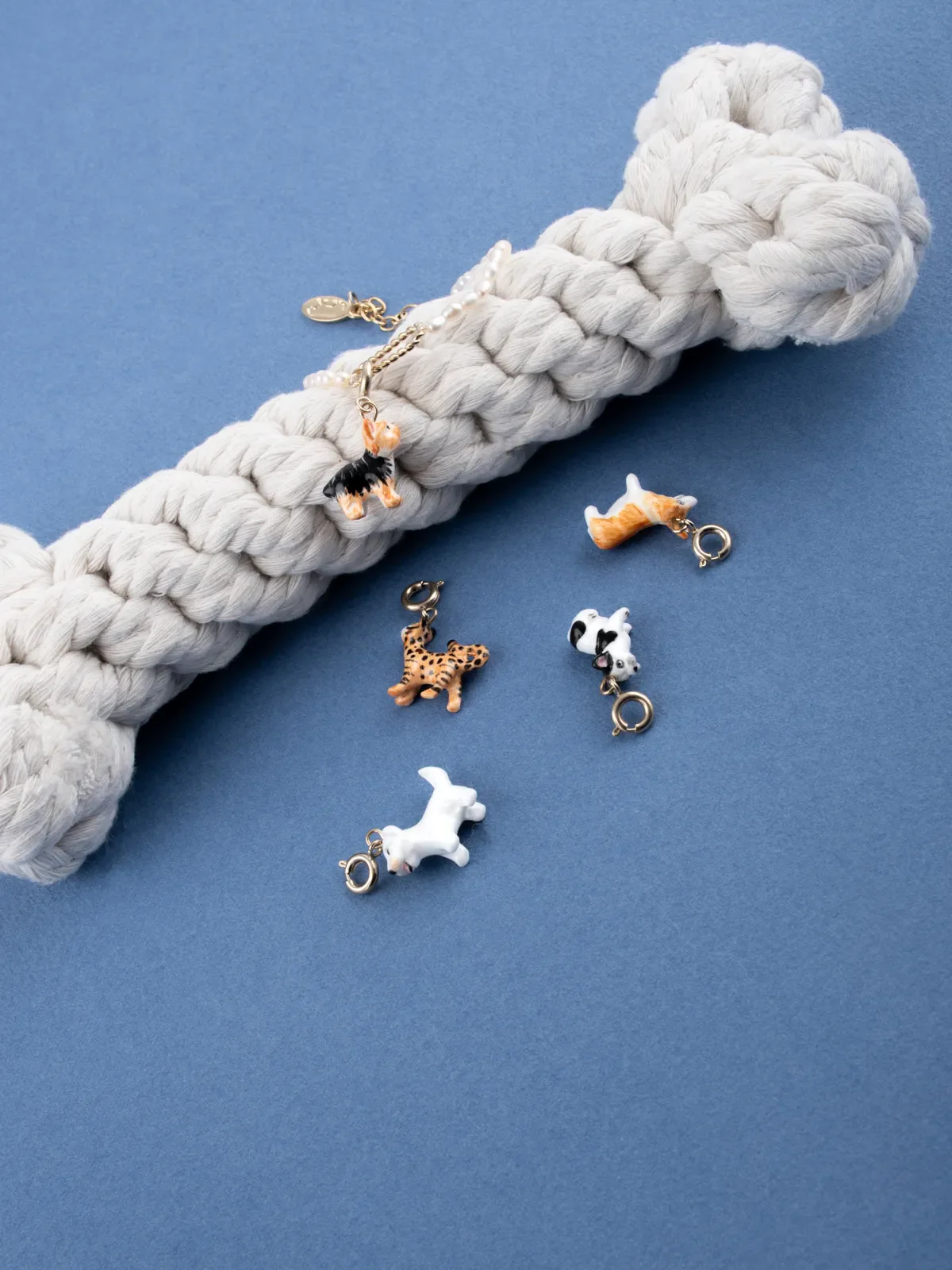 Charm's Chien Bulldog Français - Image 8