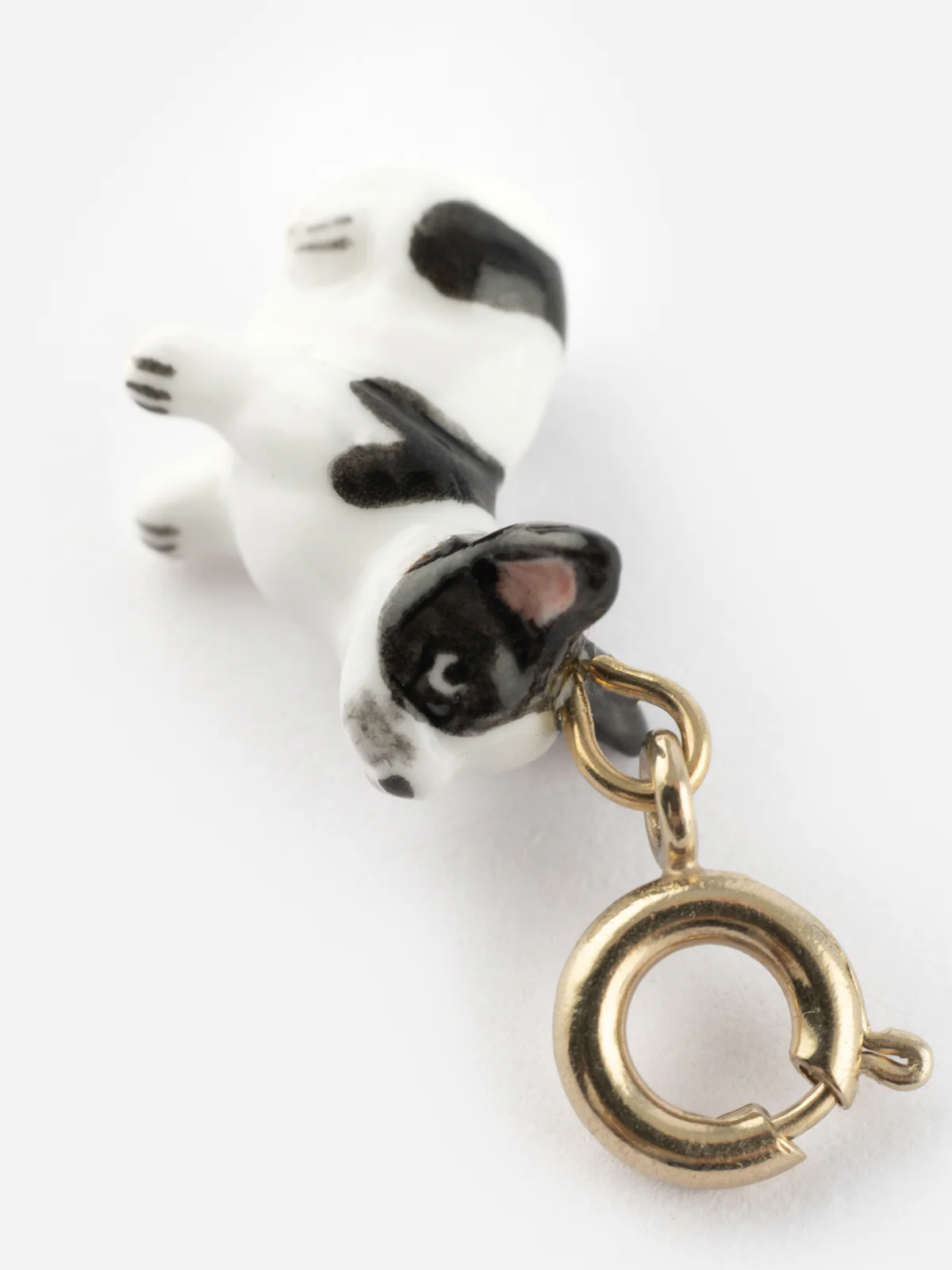Charm's Chien Bulldog Français - Image 9