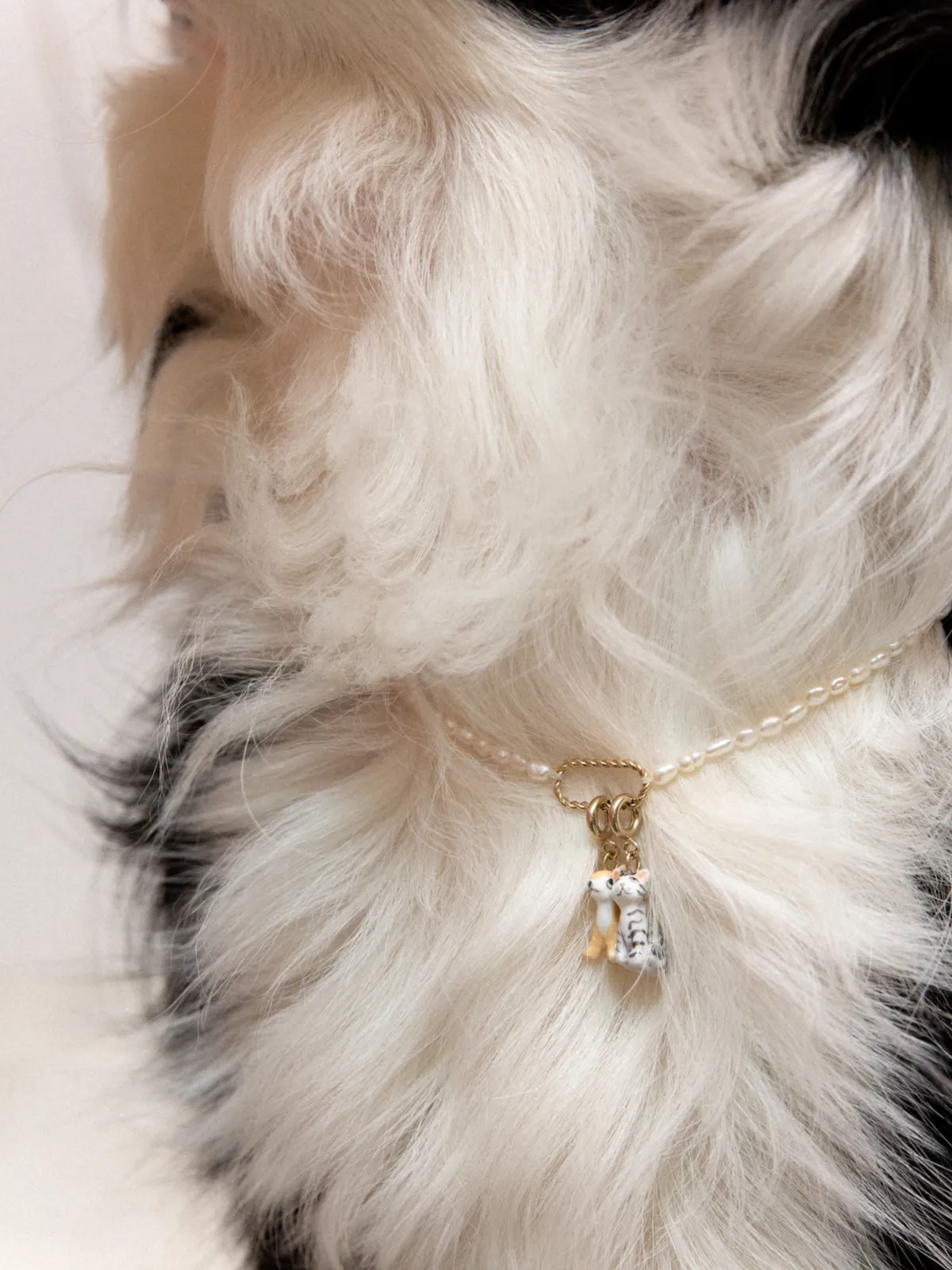 Charm's Chien Chihuahua - Image 3