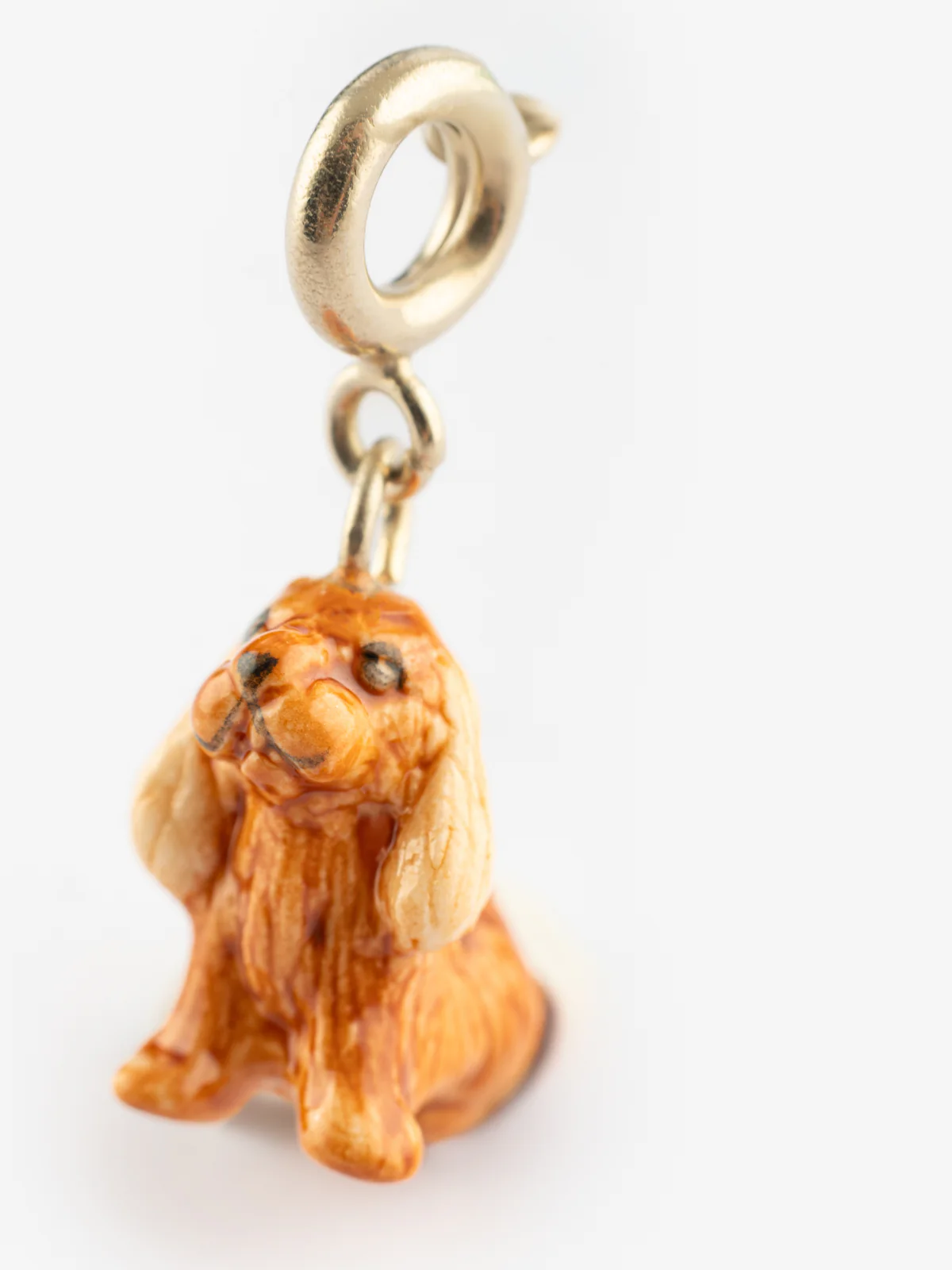 Charm's Chien Cocker