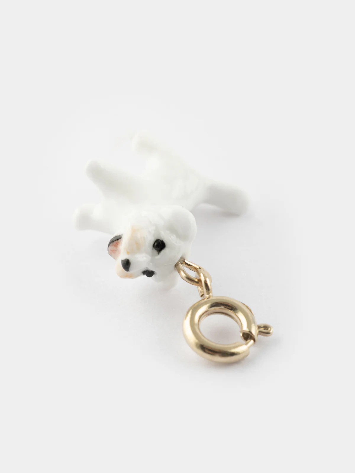Charm's Chien Coton de Tulear - Image 8