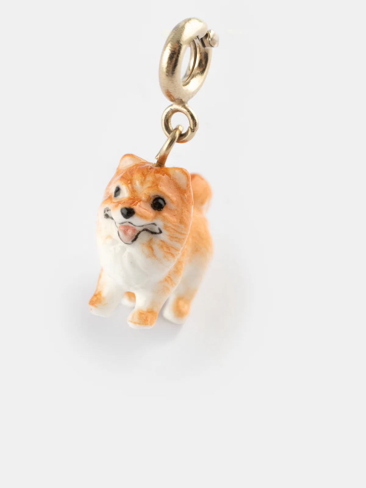 Charm's Chien Spitz