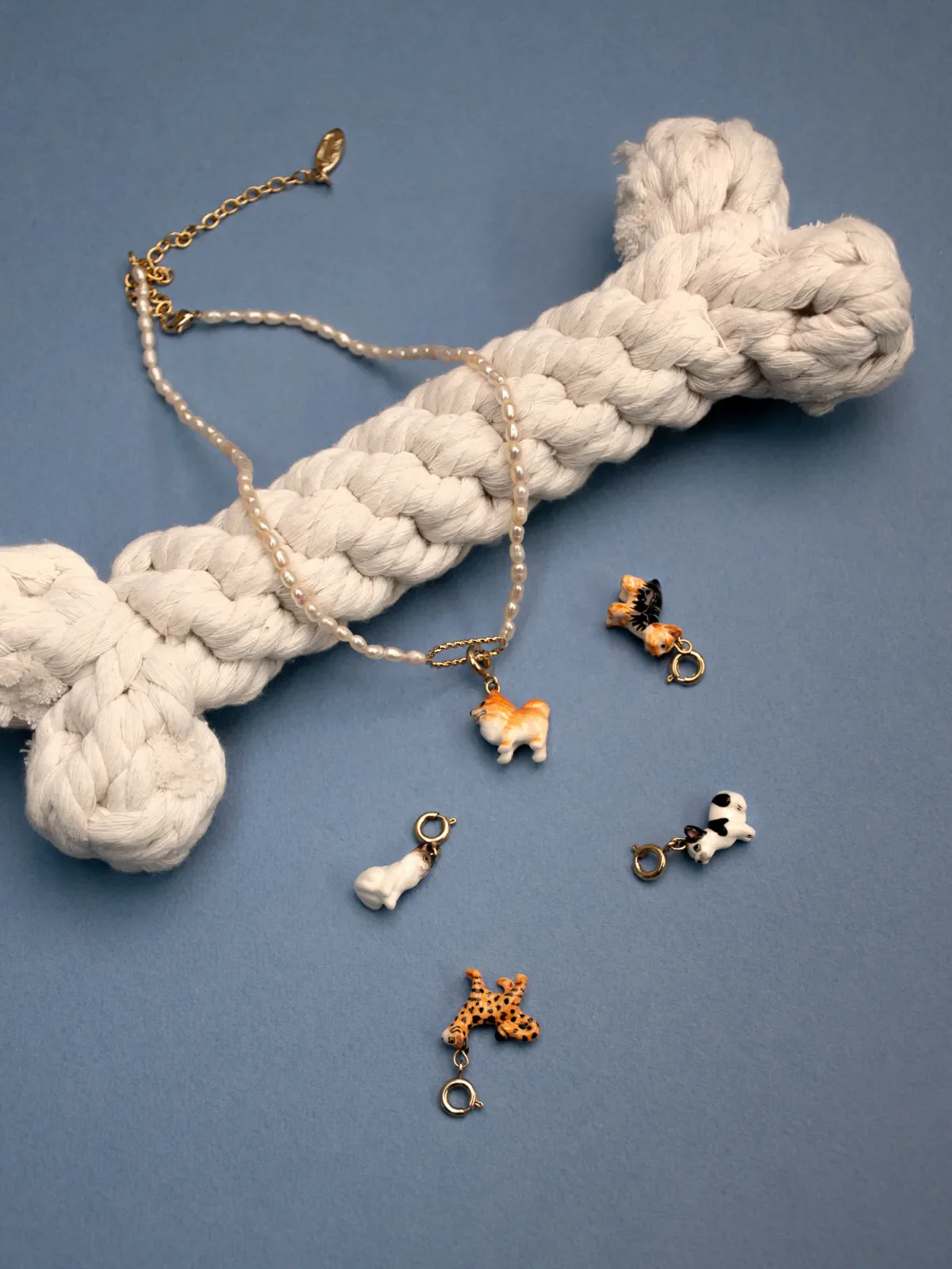 Charm's Chien Spitz - Image 4