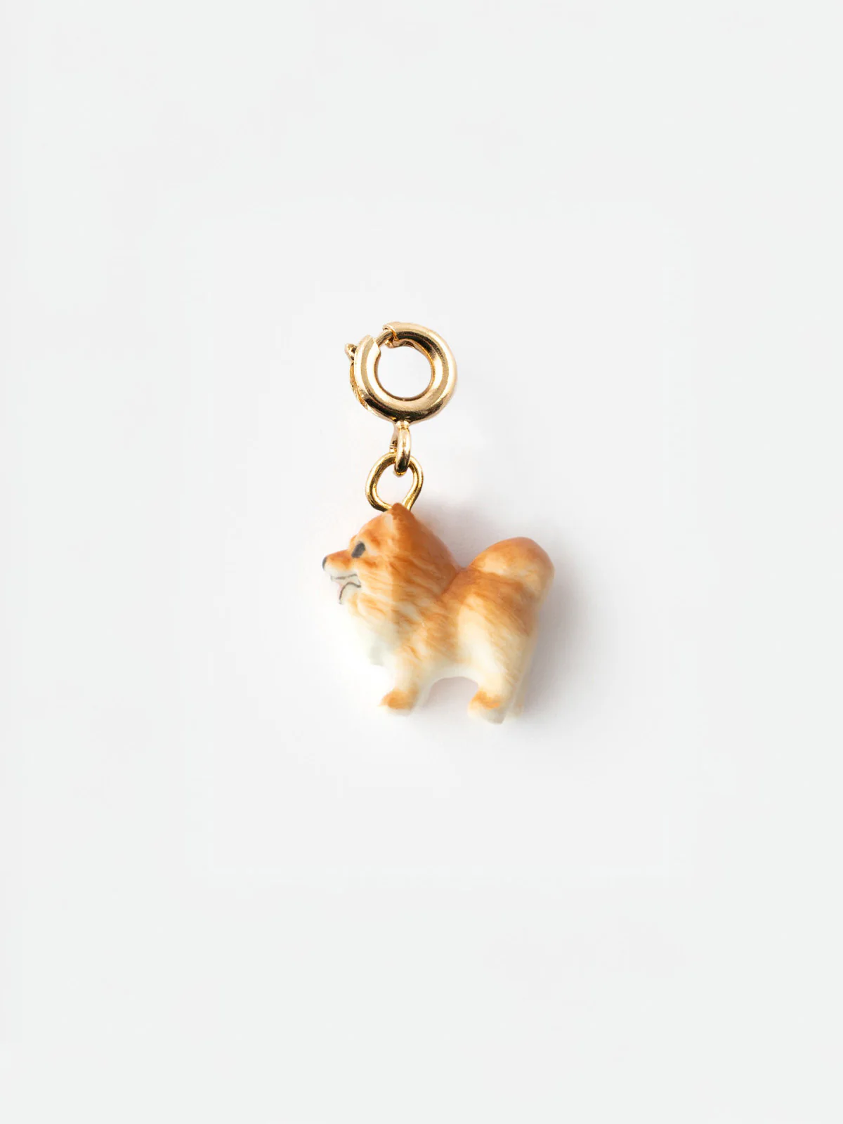 Charm's Chien Spitz - Image 5