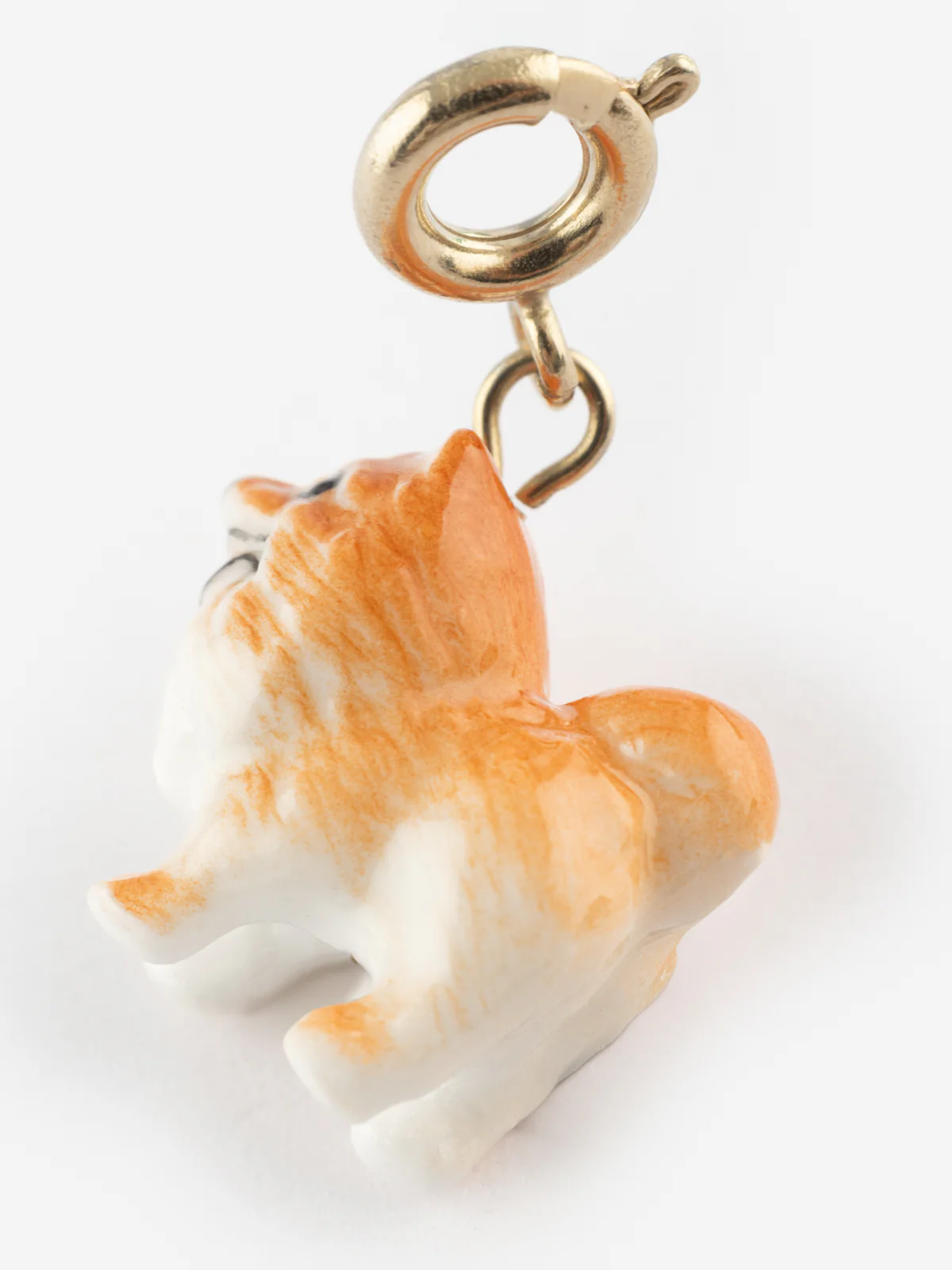 Charm's Chien Spitz - Image 6