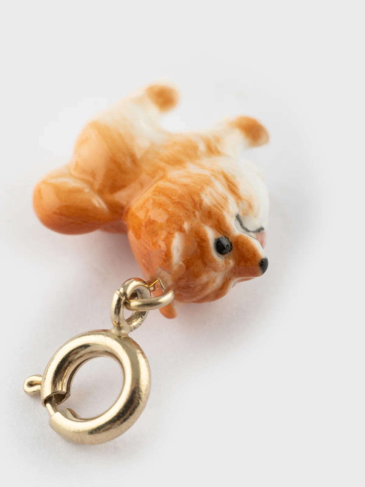 Charm's Chien Spitz - Image 7
