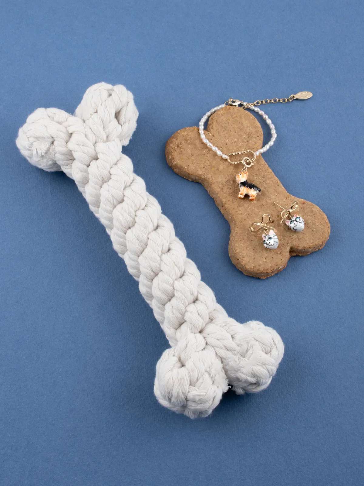 Charm's Chien Yorkshire - Image 6