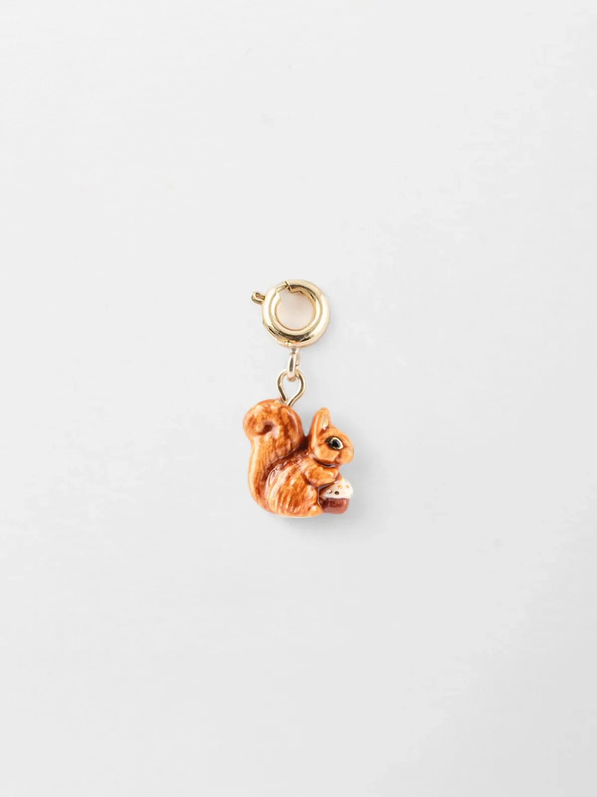 Charm's écureuil