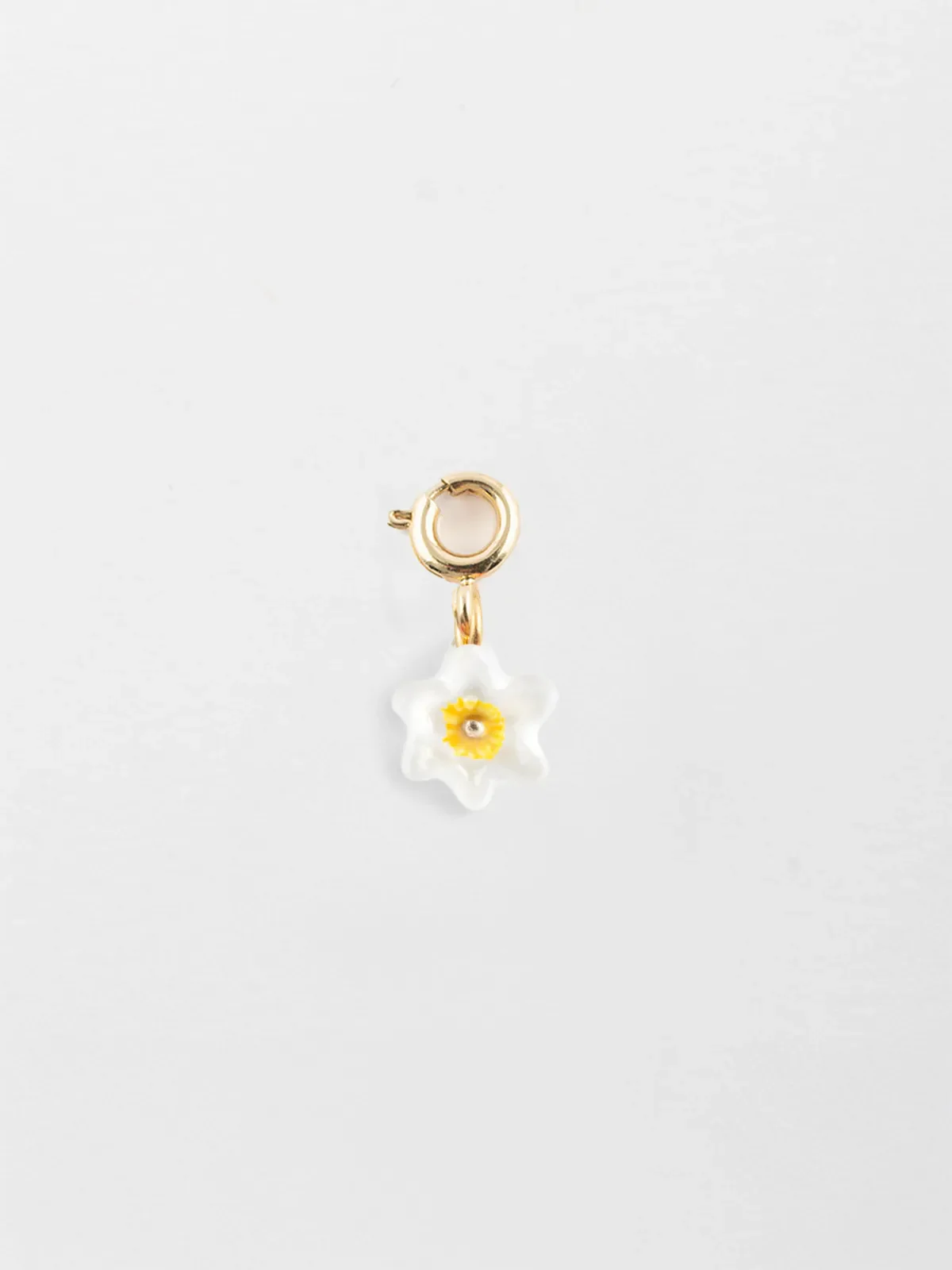 Charm's Fleur de Jonquille
