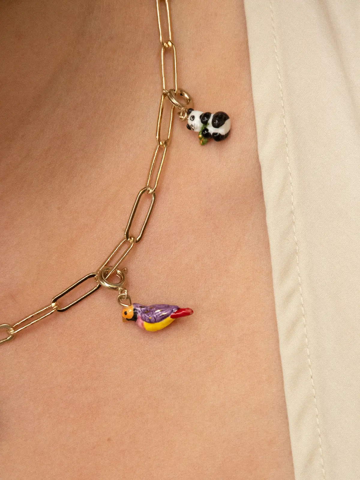 Charm's oiseau diamant de Gould - Image 4