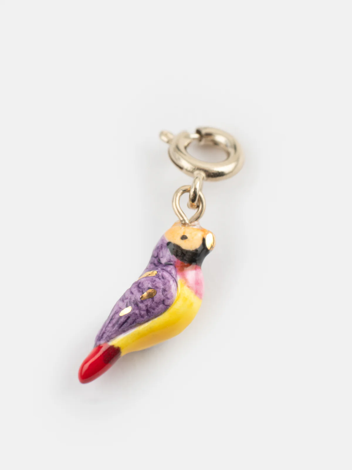Charm's oiseau diamant de Gould - Image 5