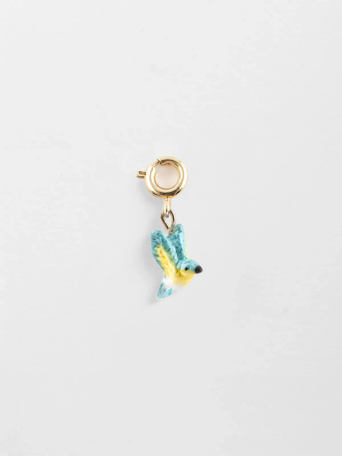 Charm's Paruline Bleue