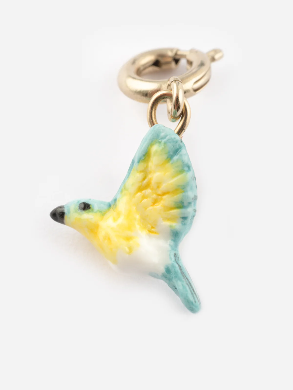 Charm's Paruline Bleue - Image 4