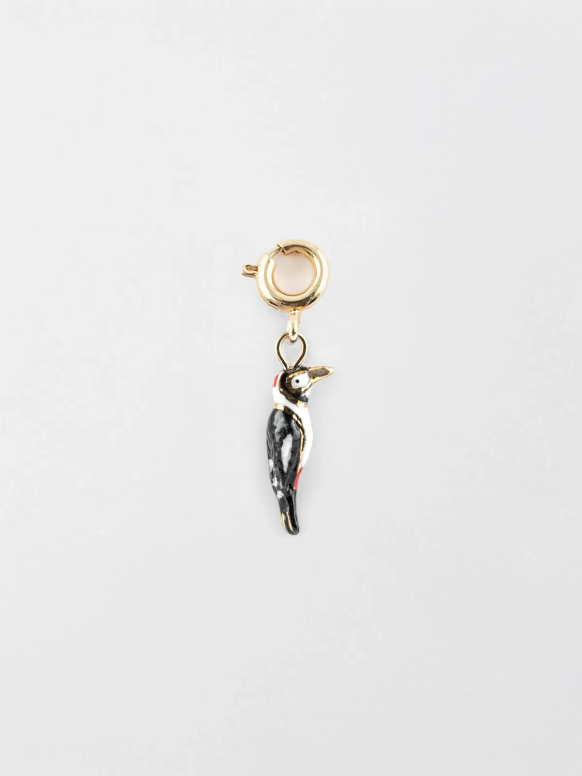 Charm's oiseau Pic Maculé