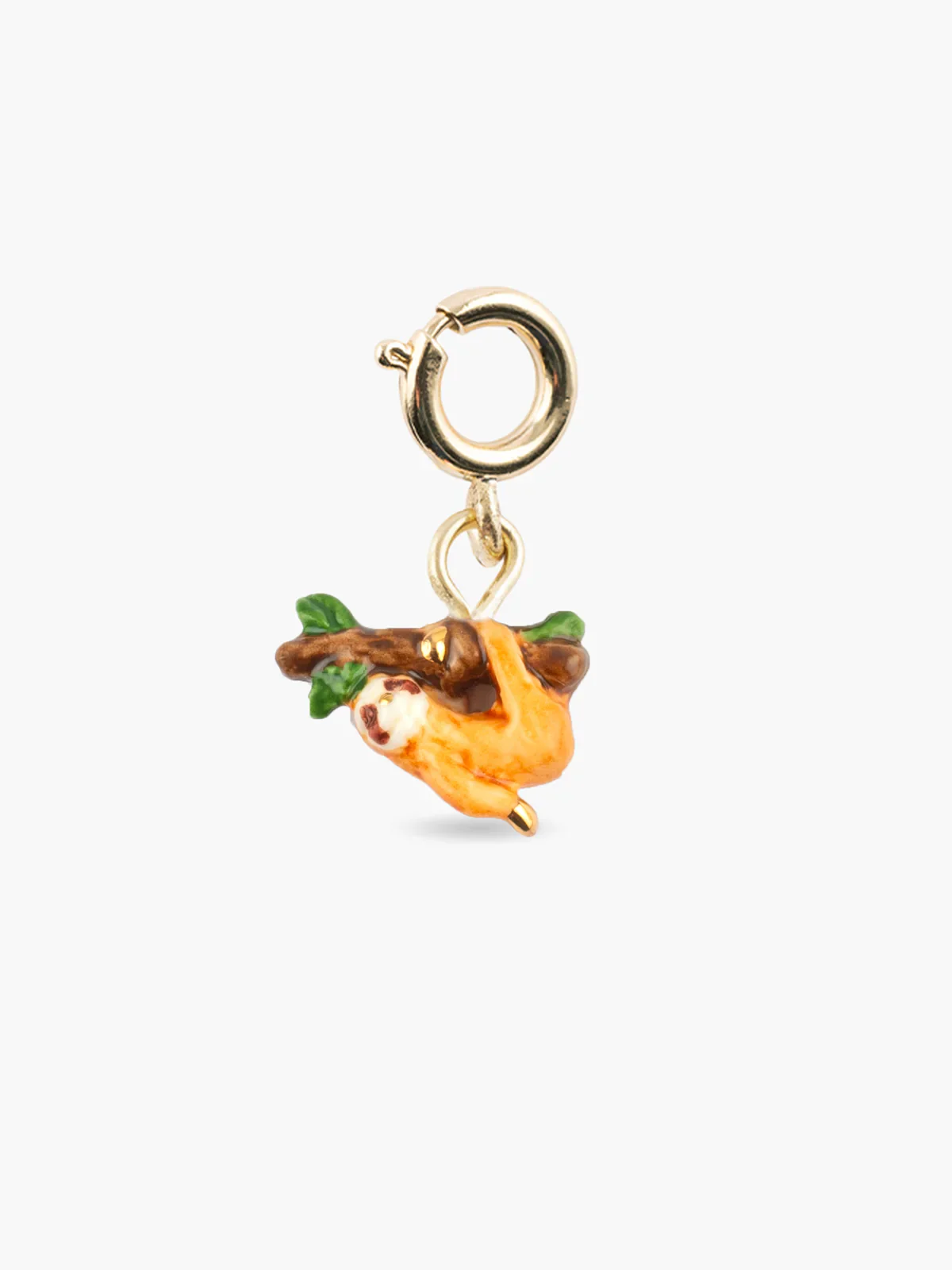 Charm's paresseux