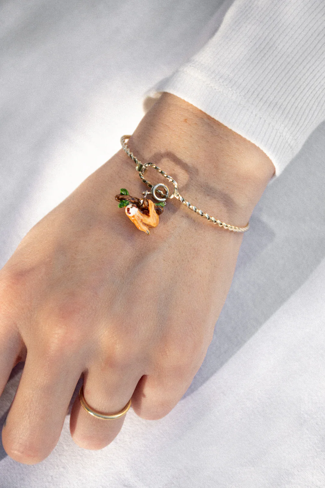 Charm's paresseux - Image 2