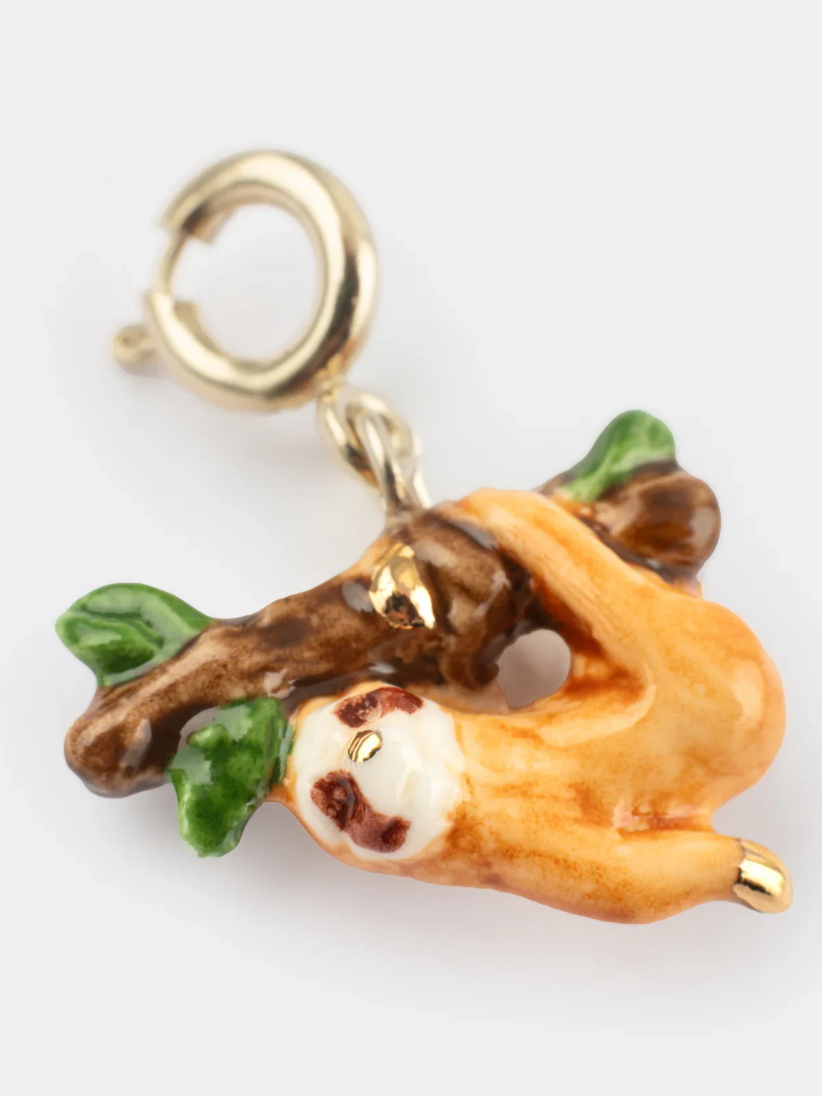 Charm's paresseux - Image 6