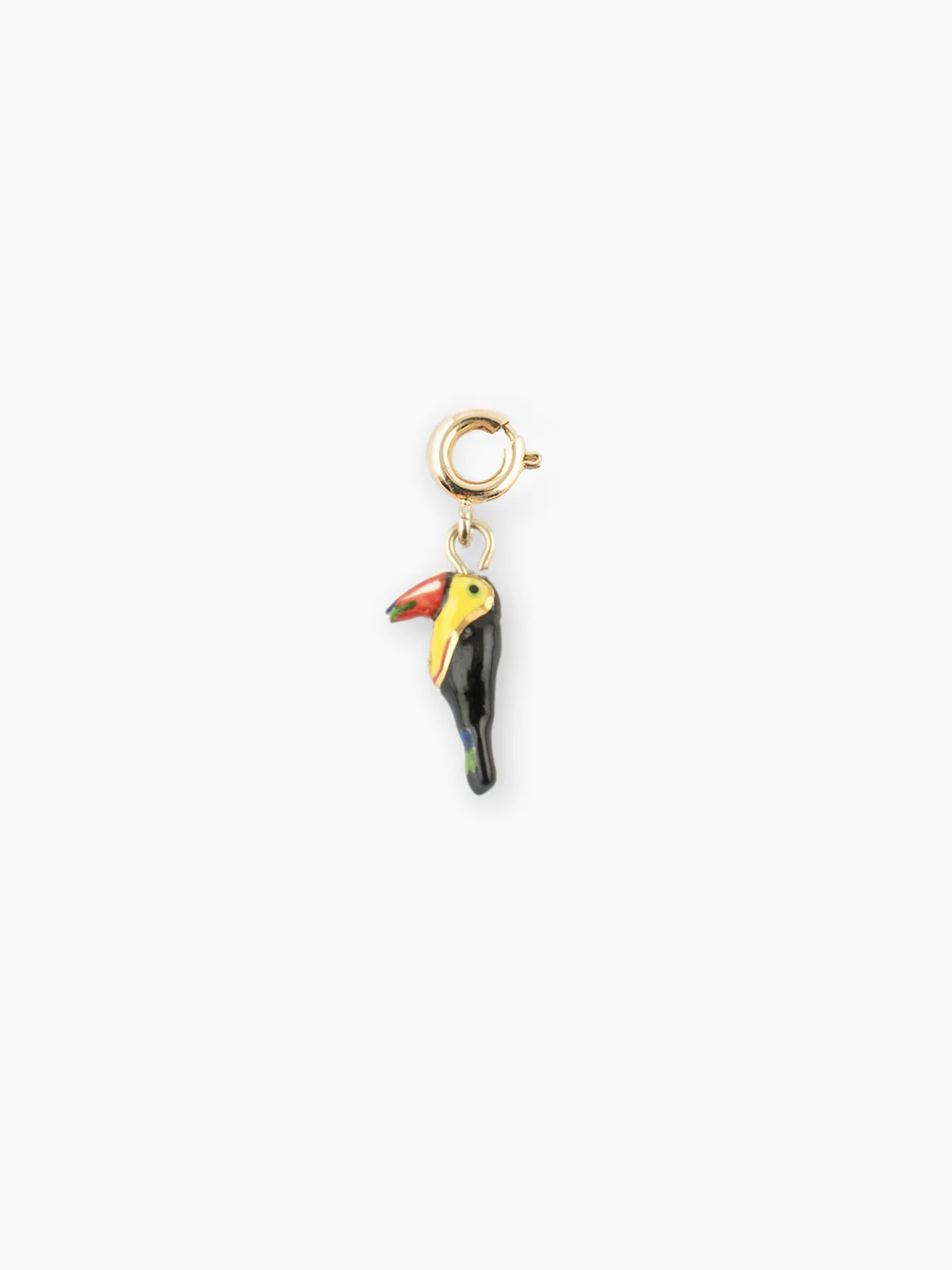 Charm's toucan tropical
